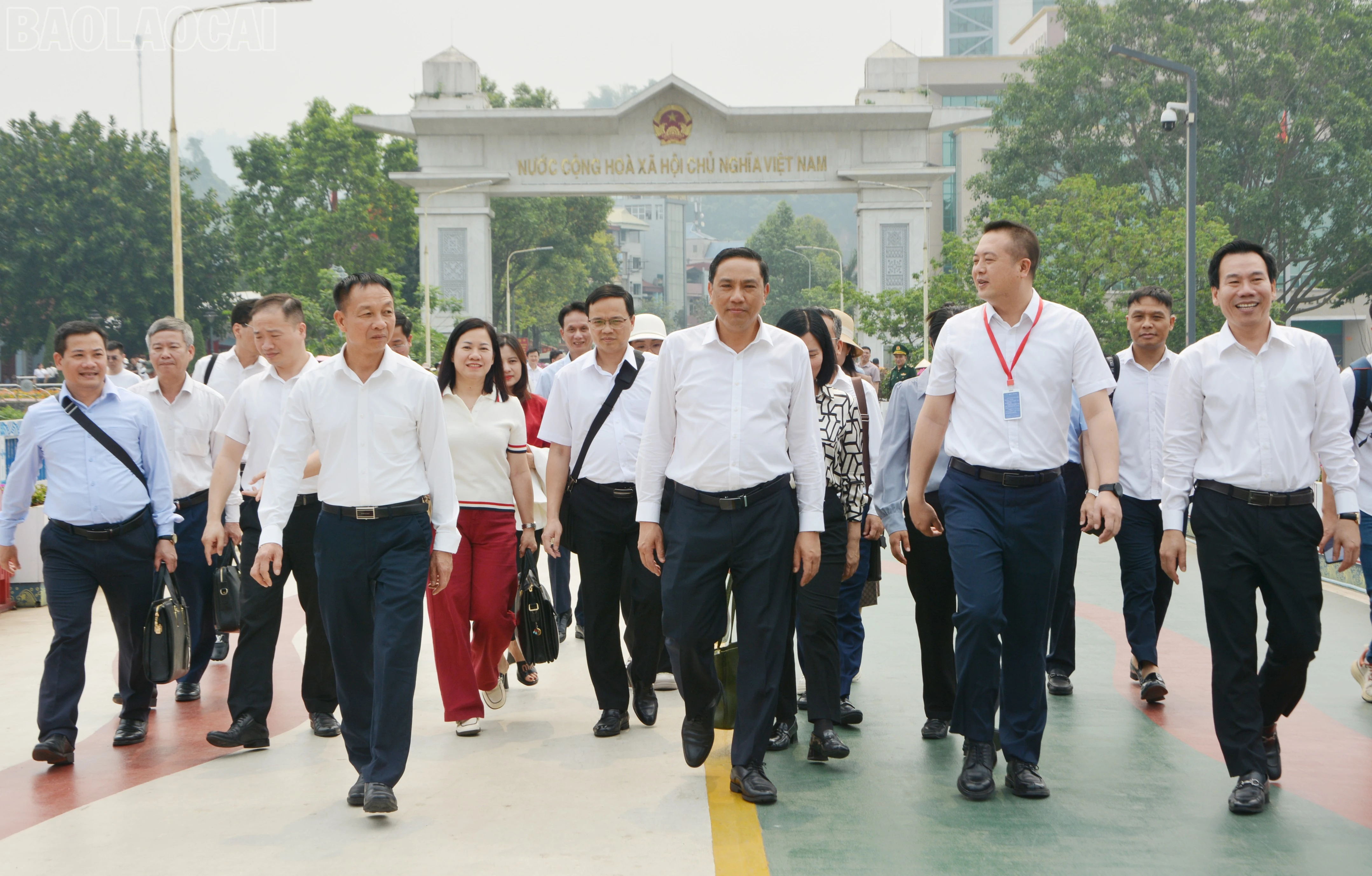 baolaocai-tl_dsc-2527.jpg