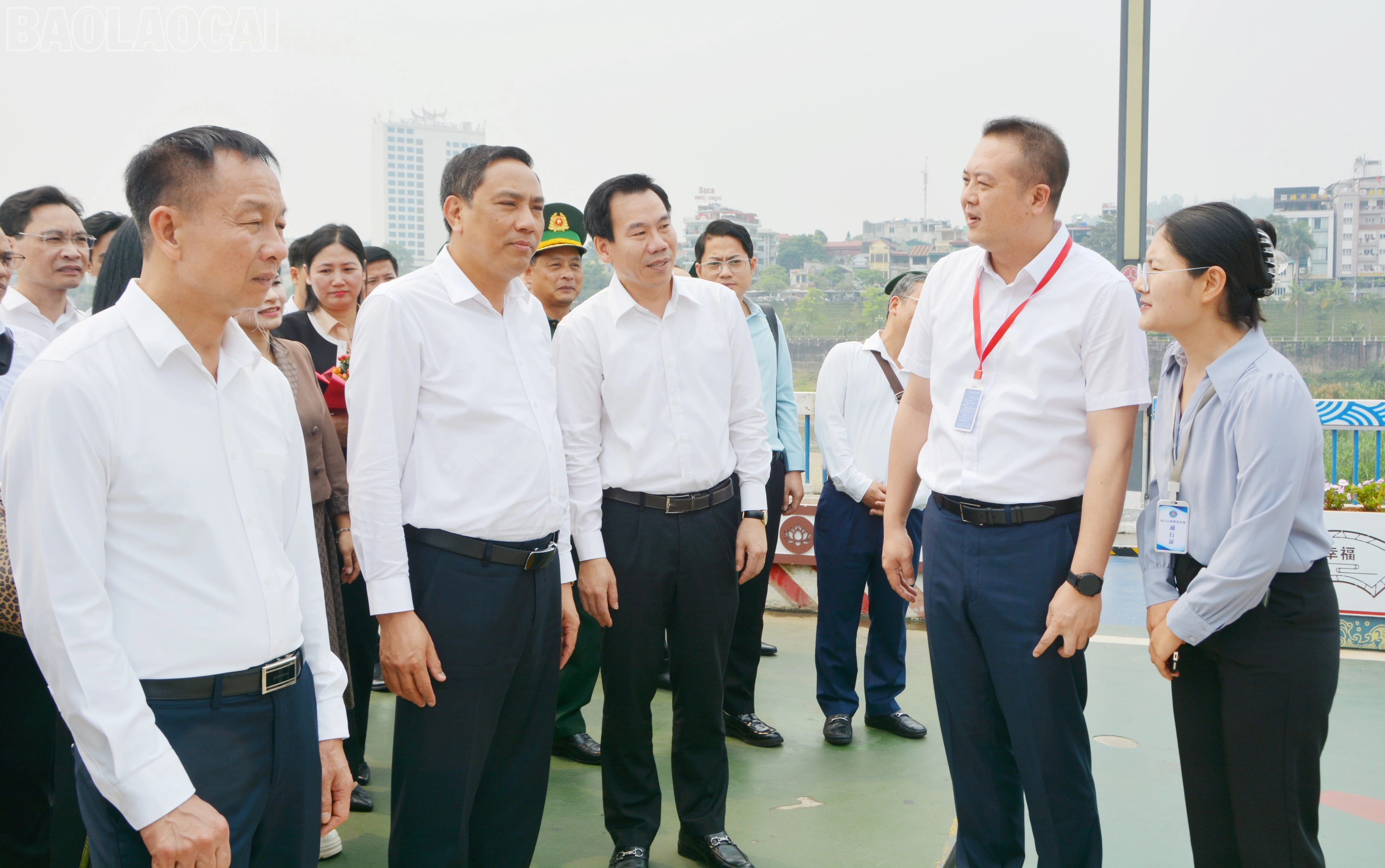 baolaocai-tl_dsc-2512.jpg
