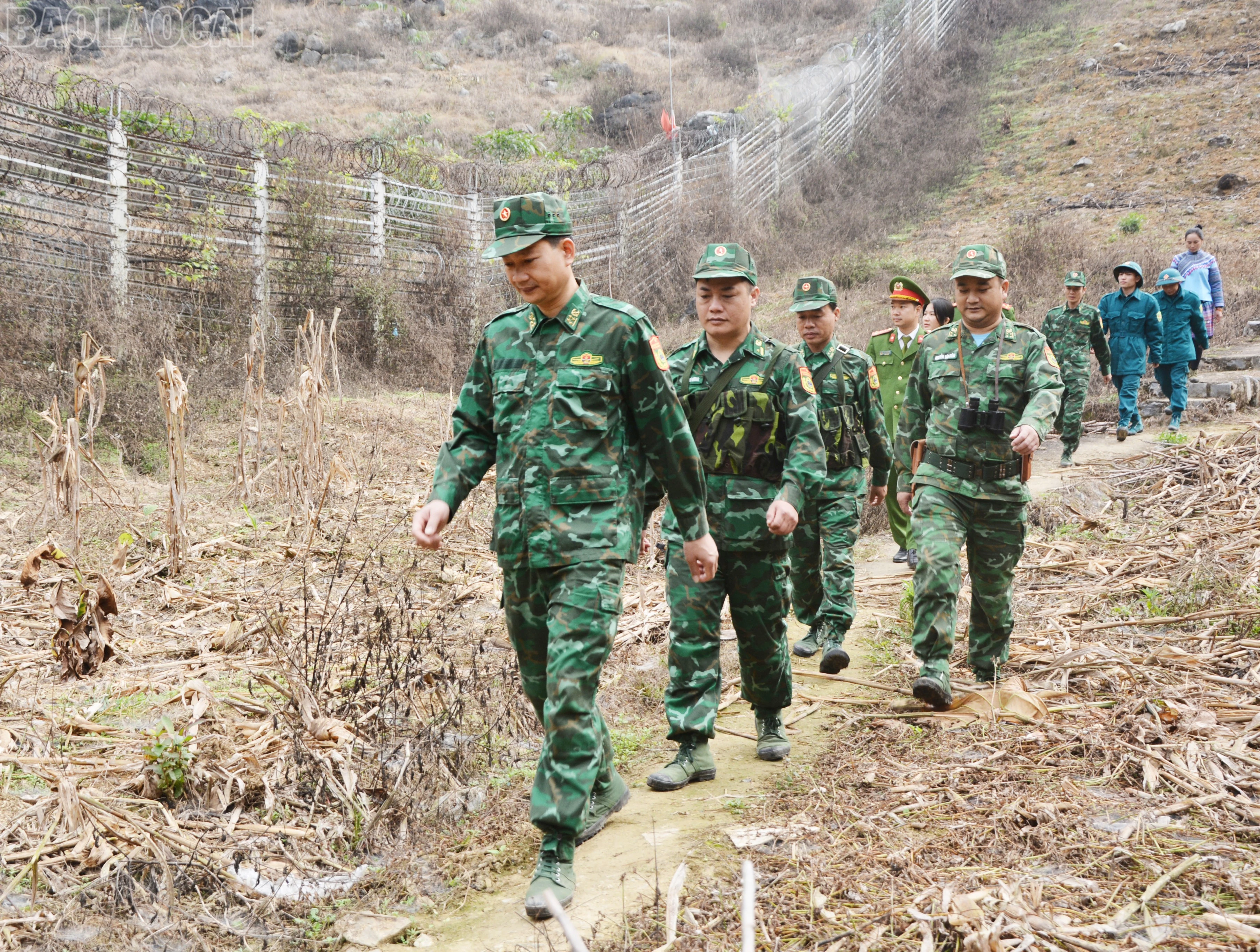baolaocai-tl_dsc-1758.jpg