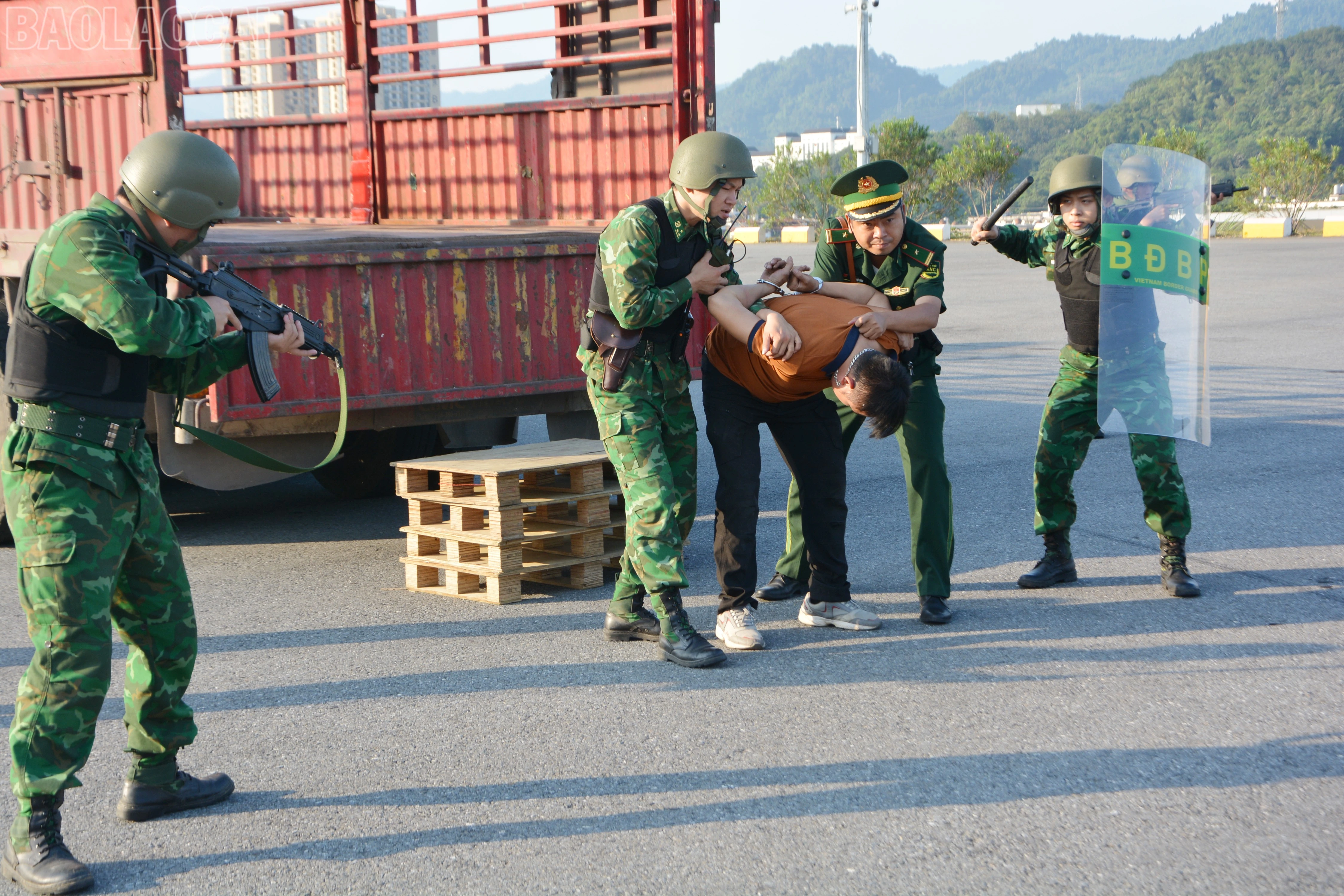 baolaocai-tl_dsc-9132.jpg