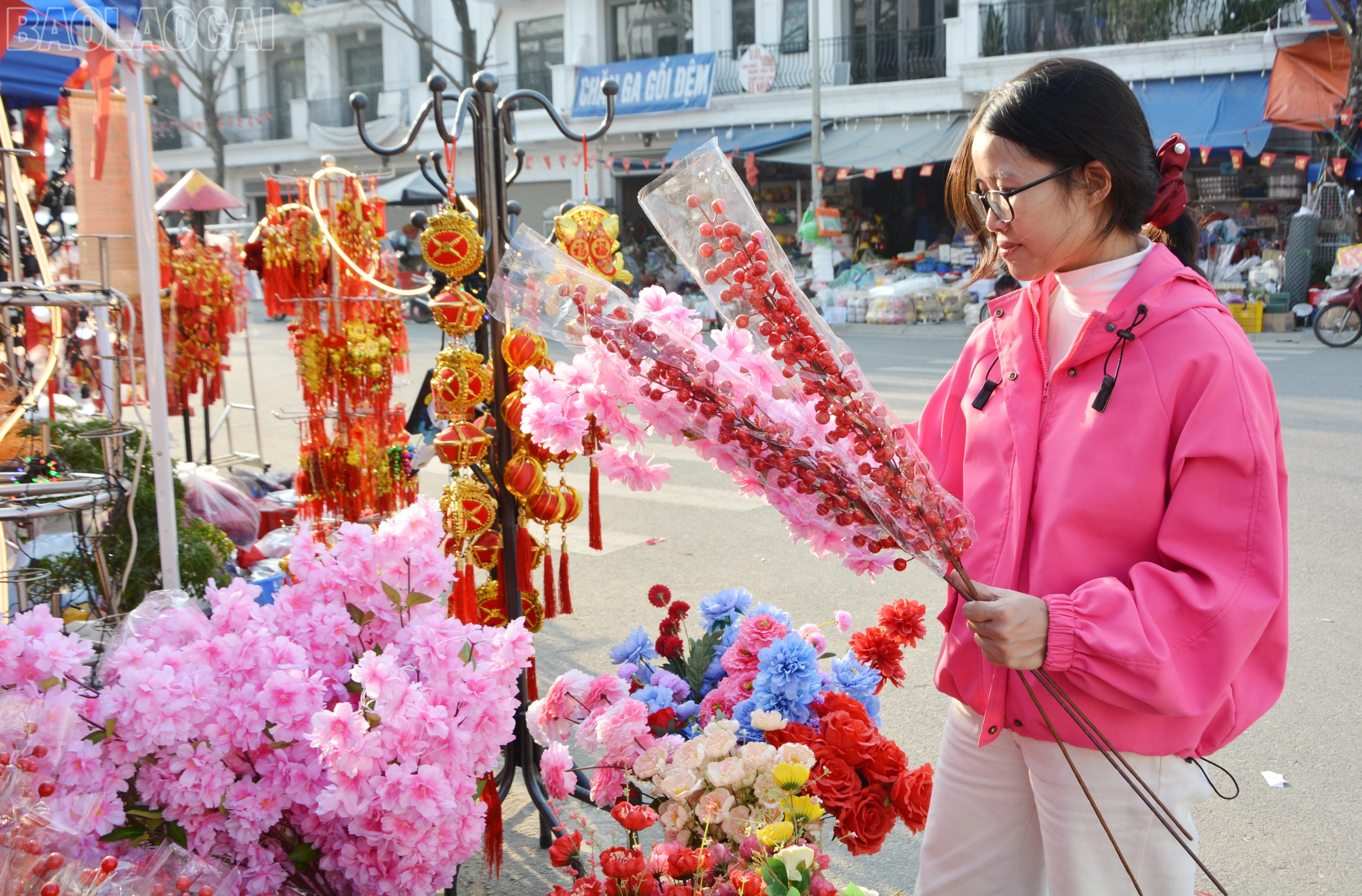 baolaocai-tl_dsc-1564.jpg