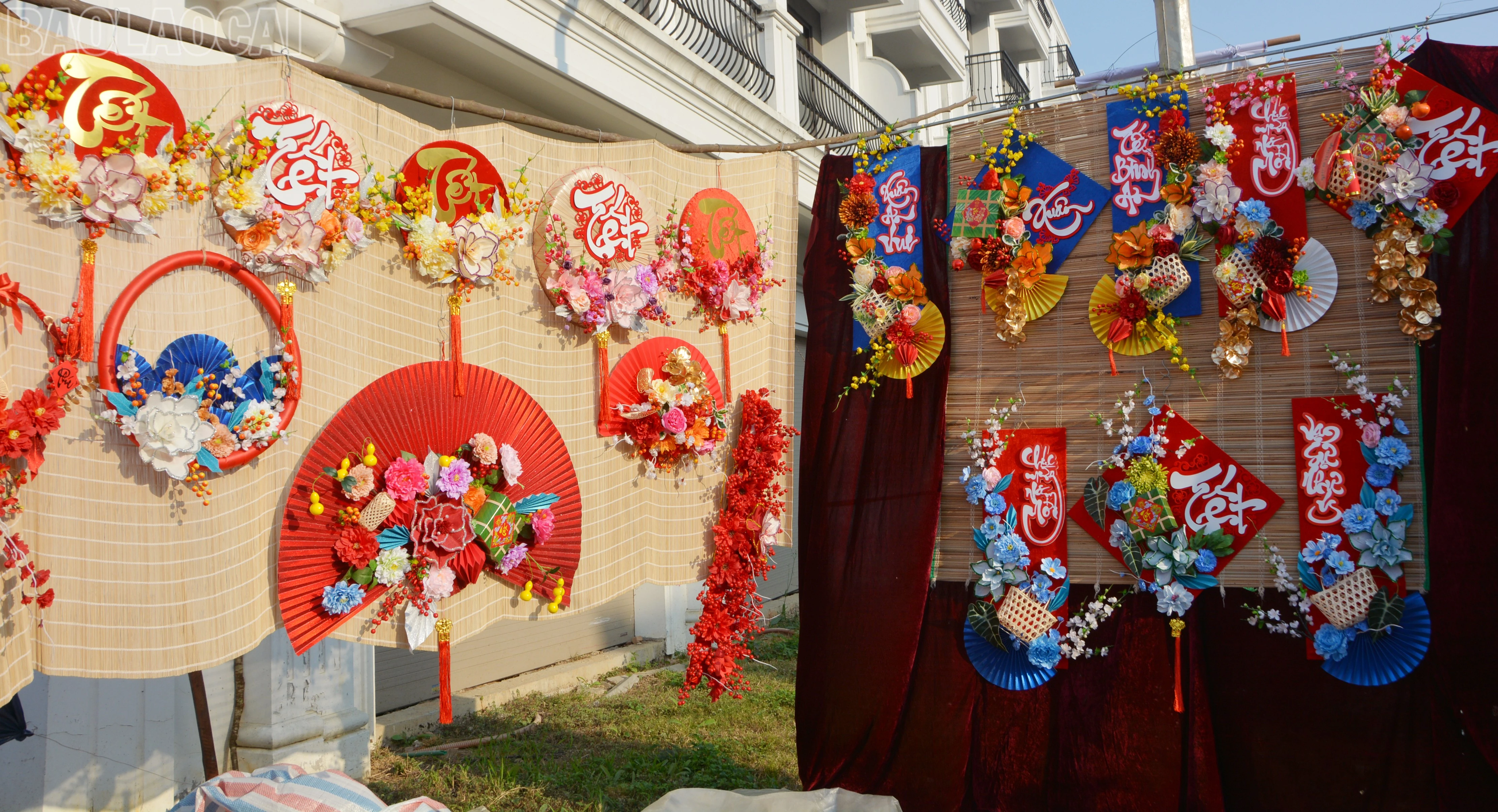baolaocai-tl_dsc-1544.jpg