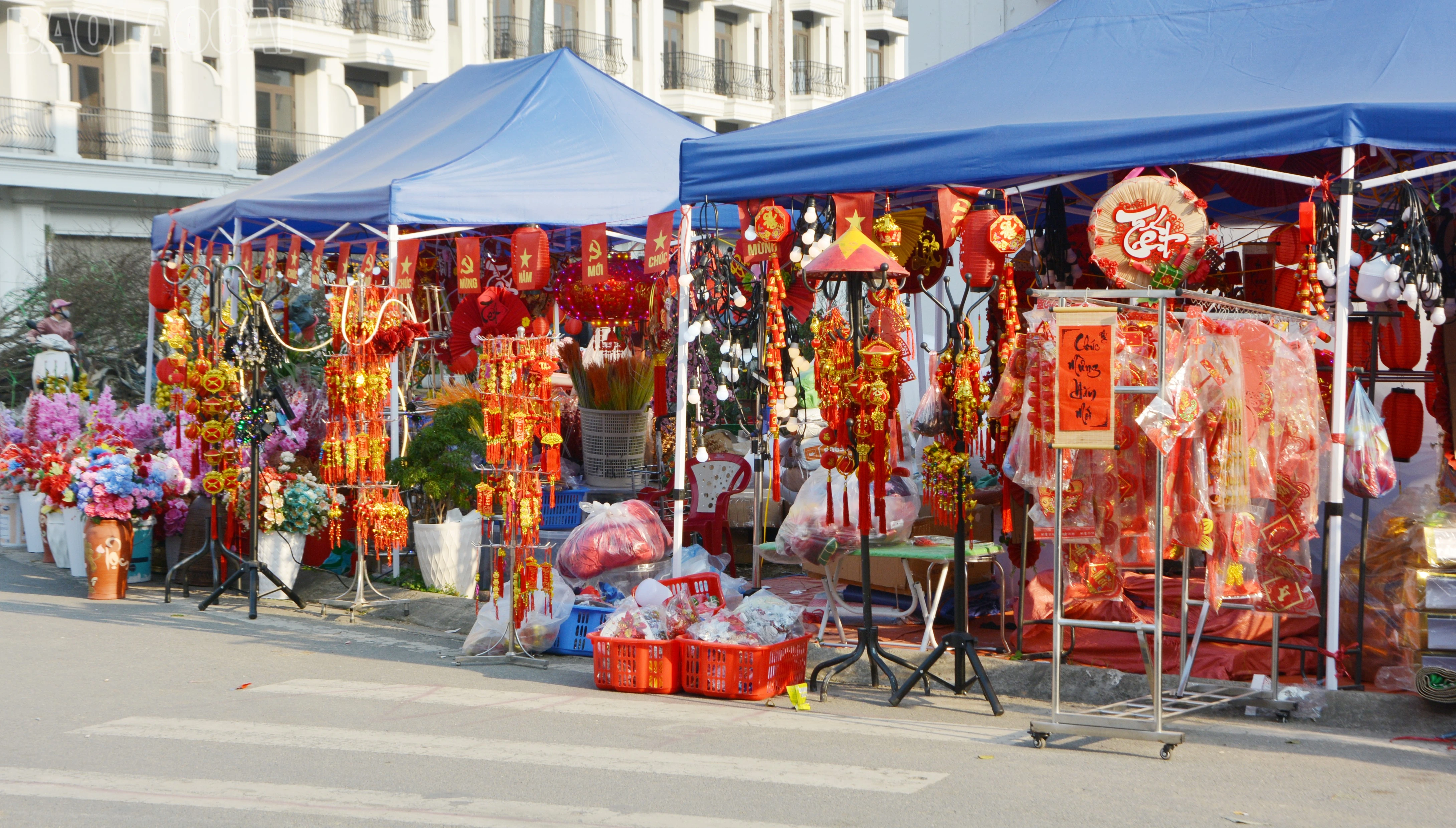 baolaocai-tl_dsc-1567.jpg