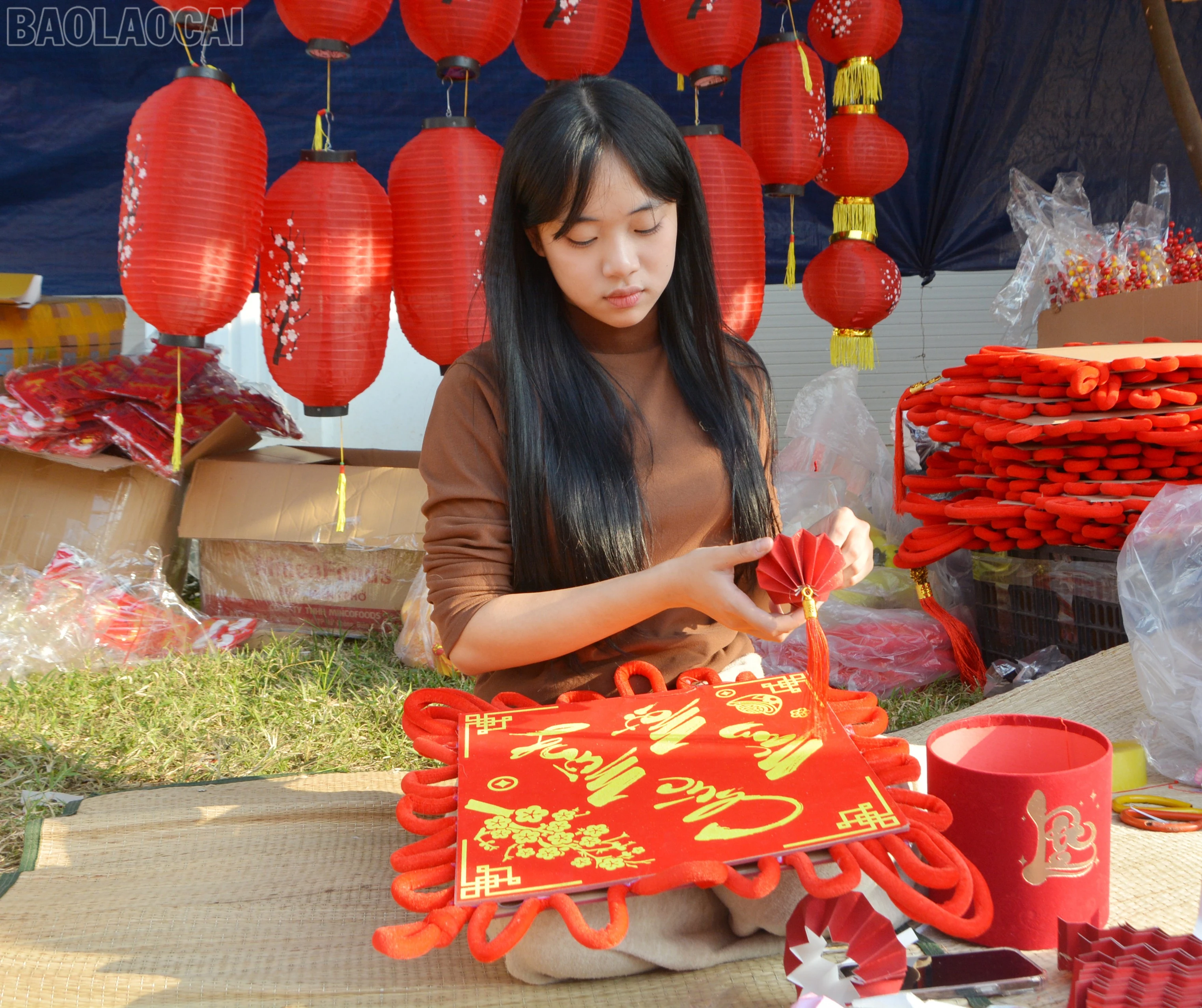 baolaocai-tl_dsc-1550.jpg