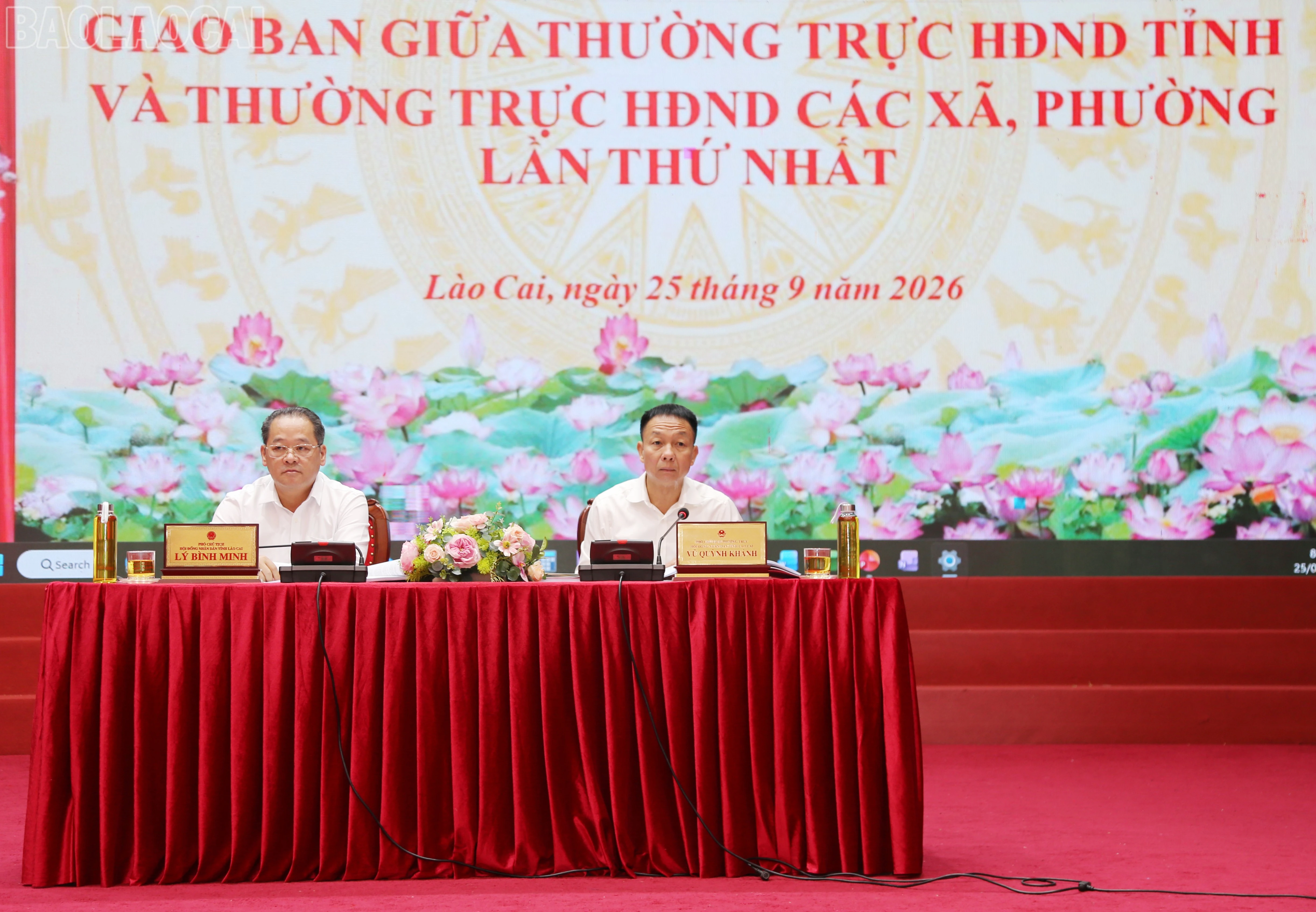 baolaocai-tl_img-0682.jpg