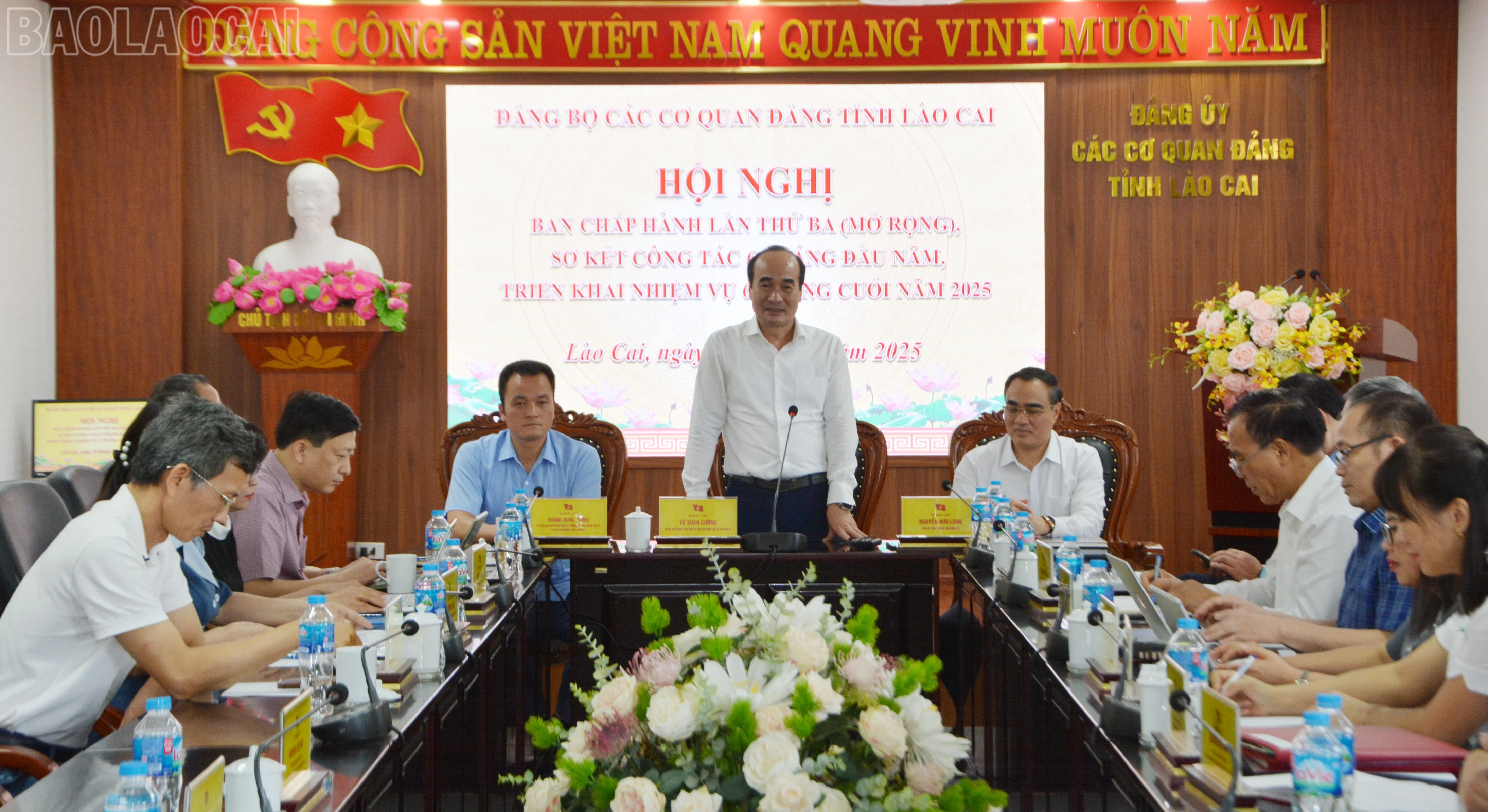 baolaocai-tl_dsc-7123.jpg