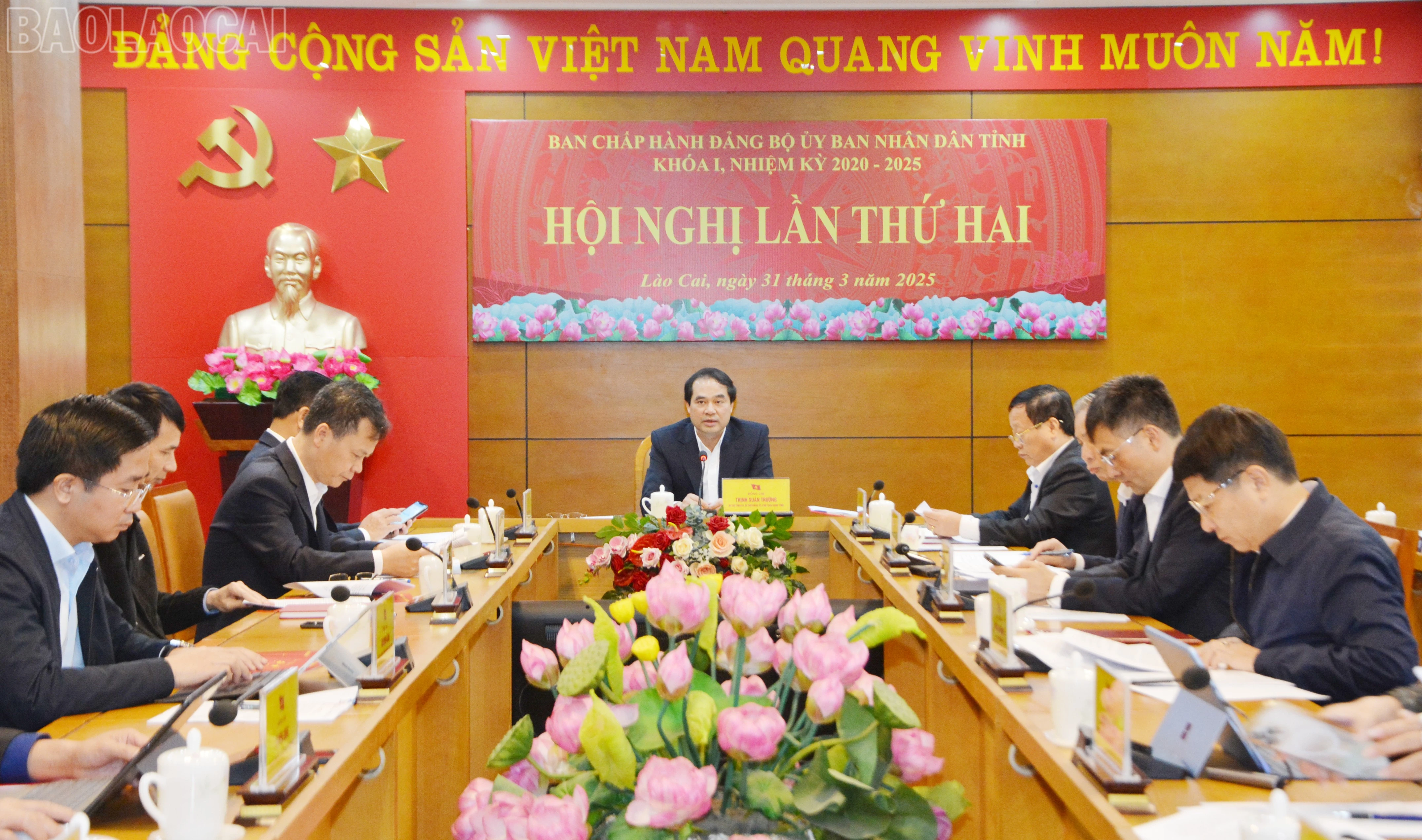 baolaocai-tl_dsc-6036.jpg