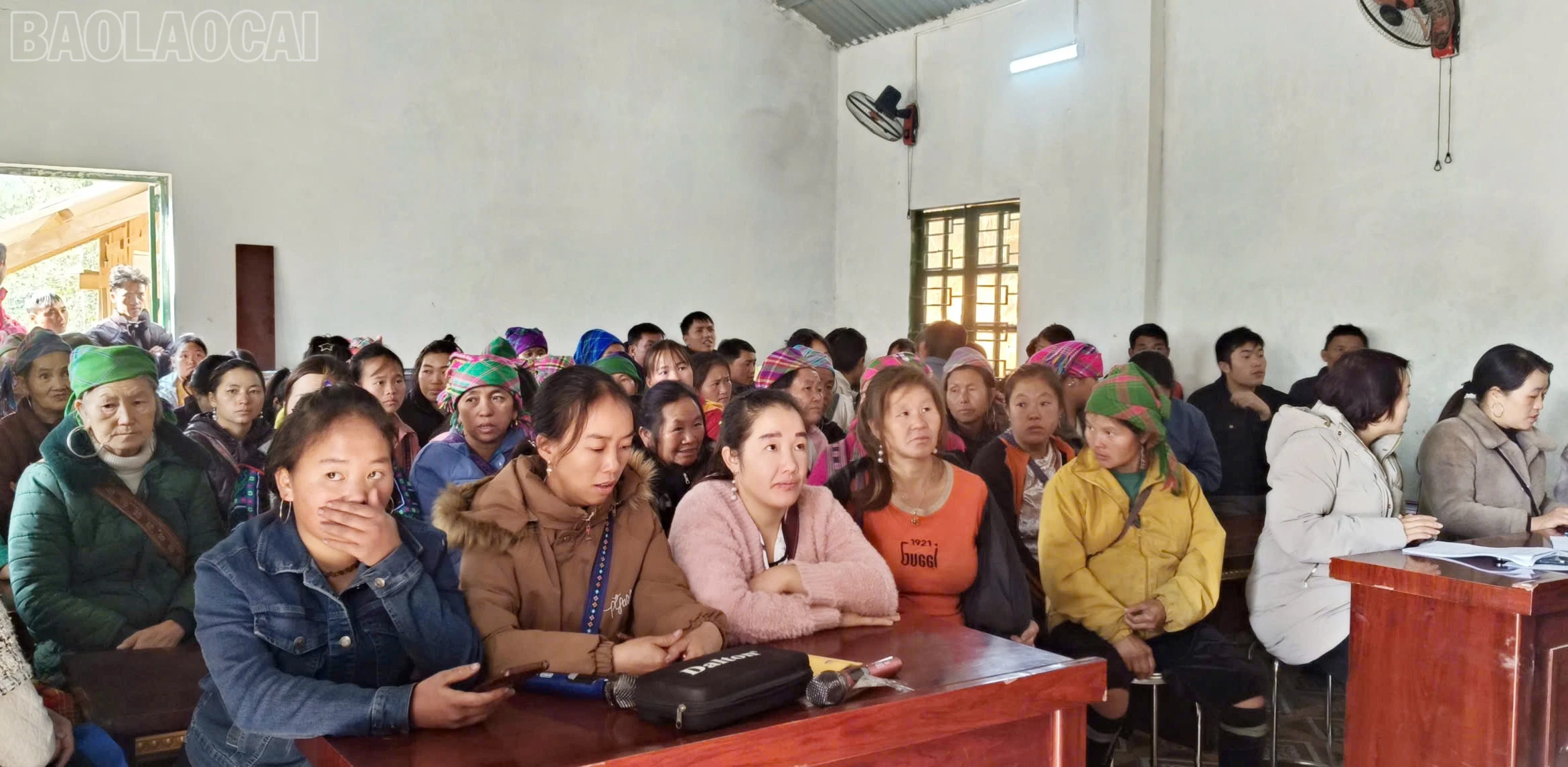 baolaocai-tl_z7281854629715-883125788eaac468787b7be04c30b806.jpg