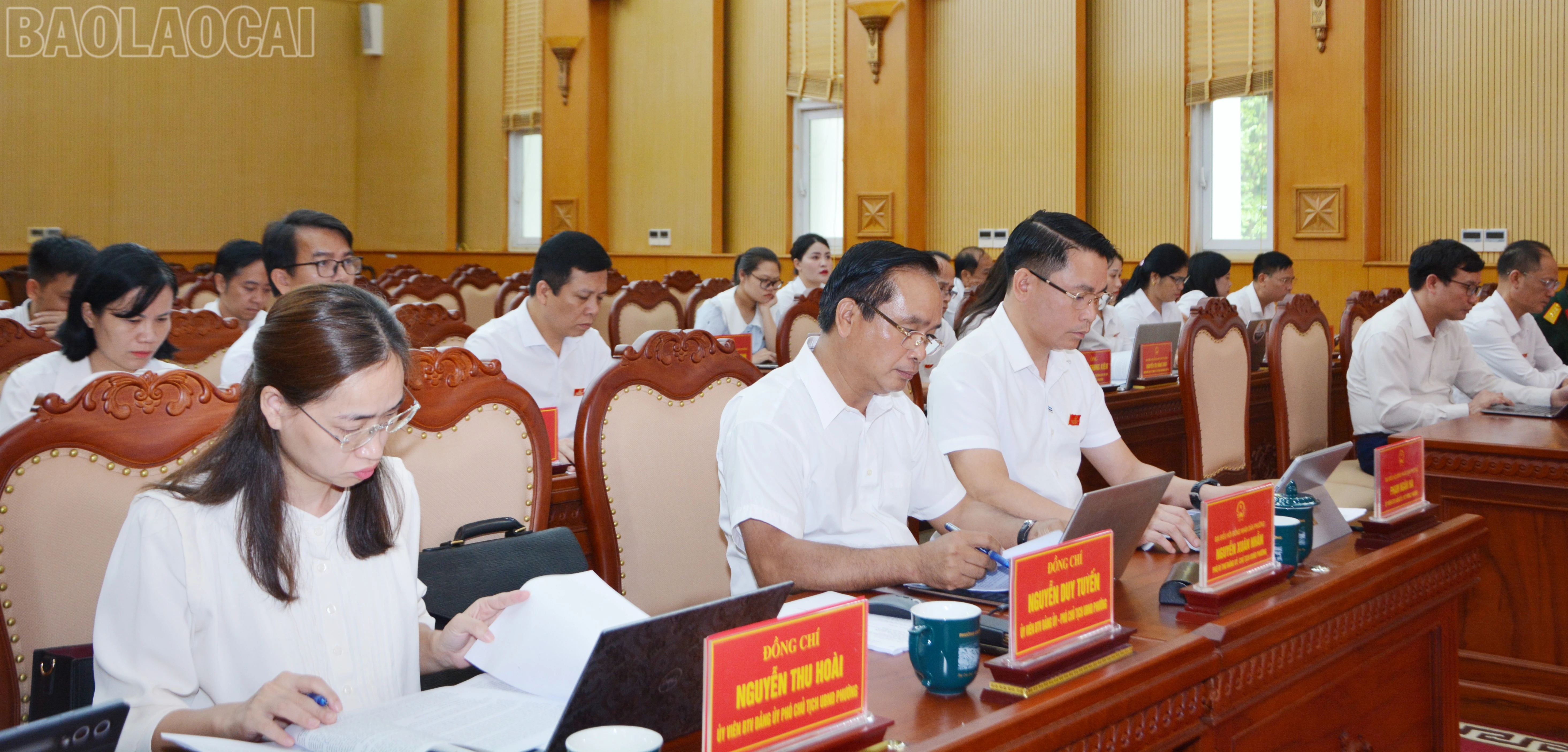 baolaocai-tl_dsc-3175.jpg