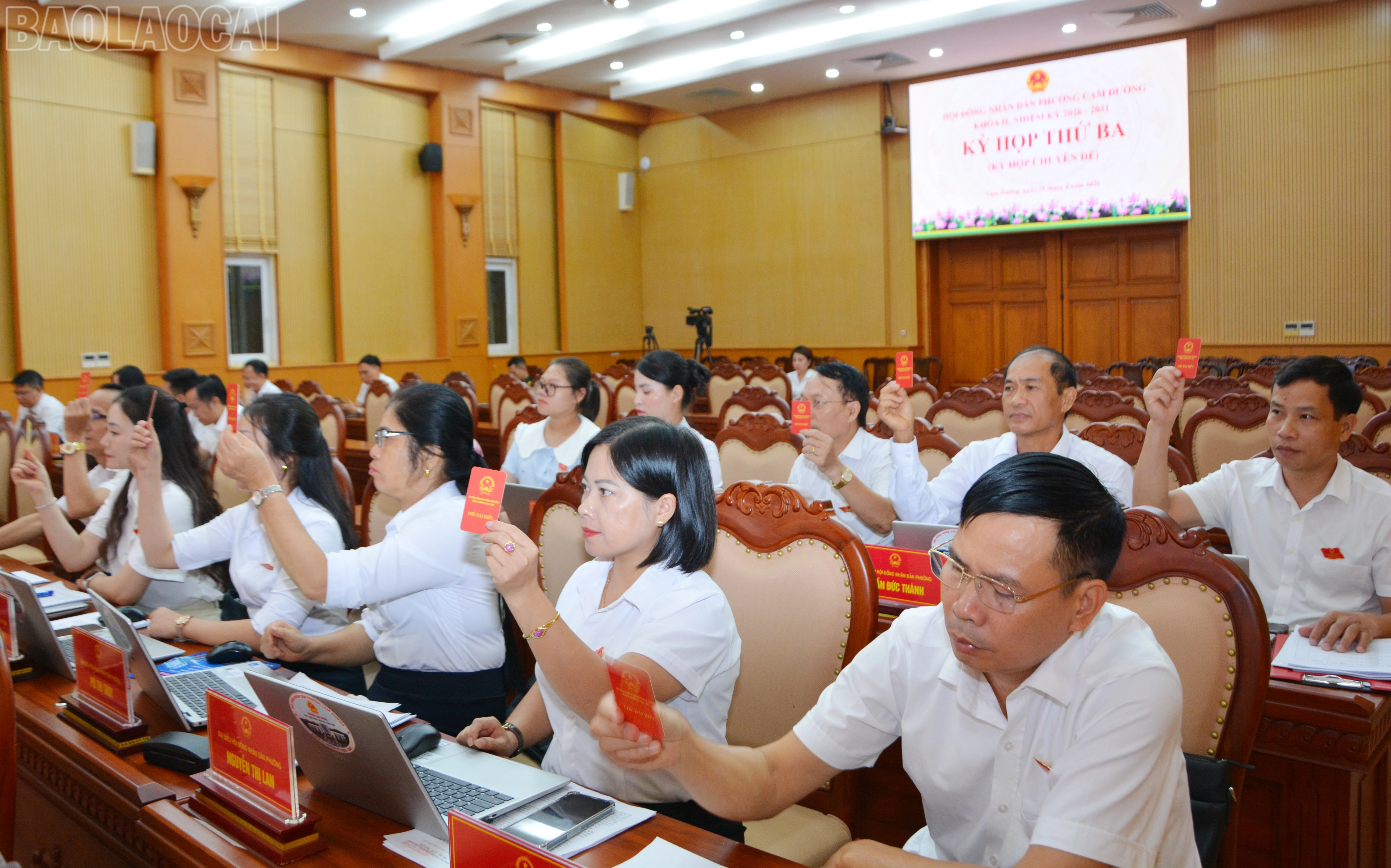 baolaocai-tl_dsc-3190.jpg