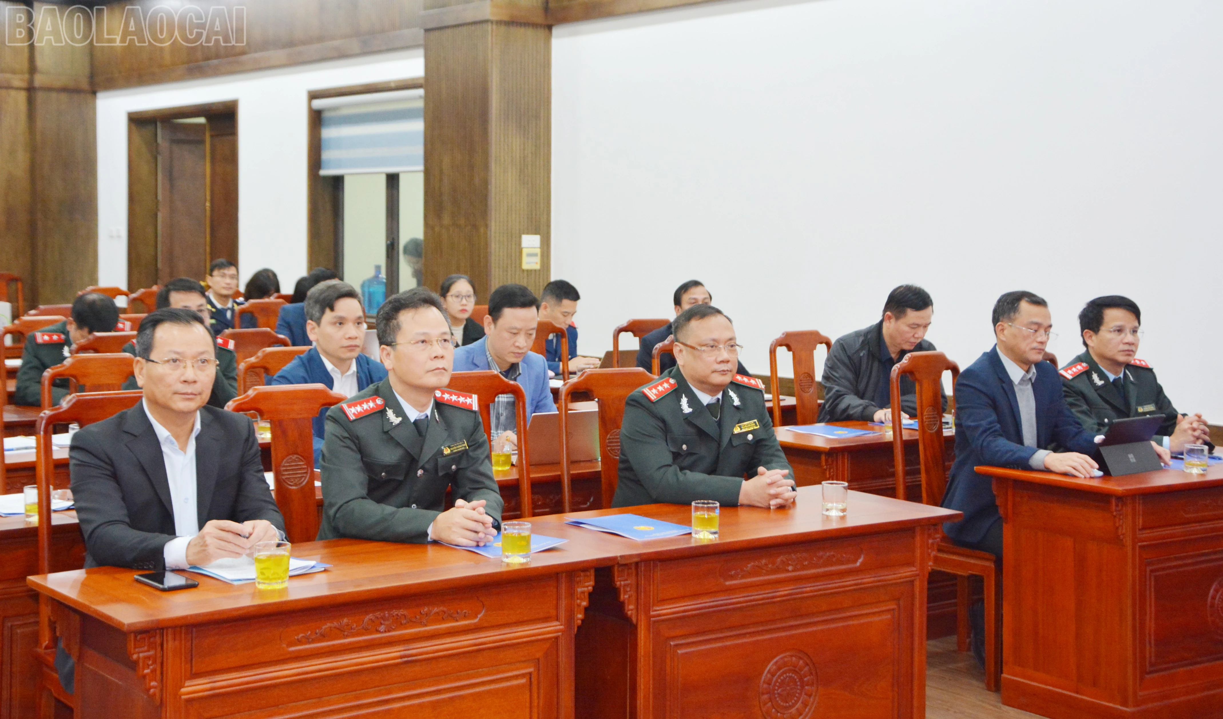 baolaocai-tl_dsc-2866.jpg