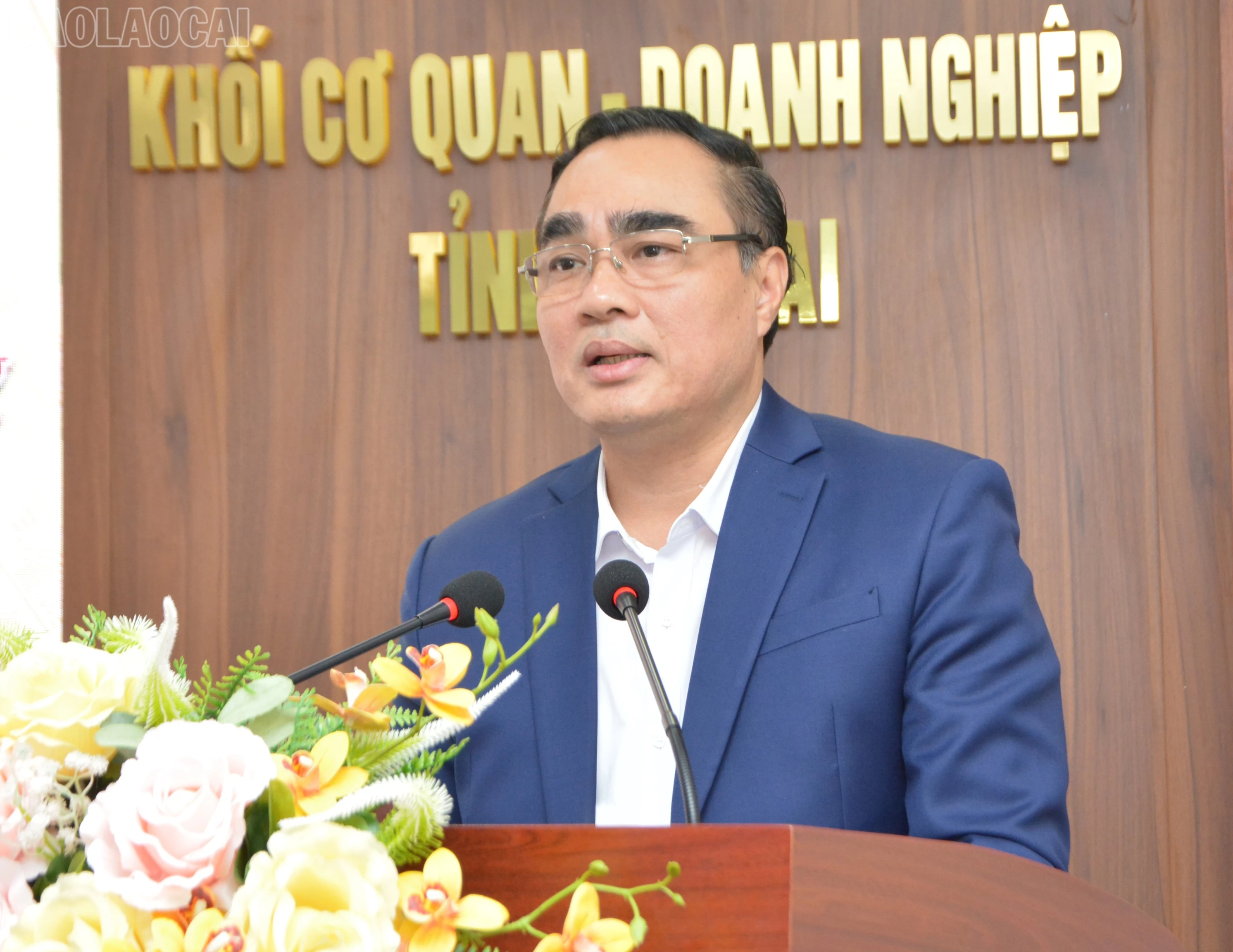 baolaocai-tl_dsc-0956.jpg