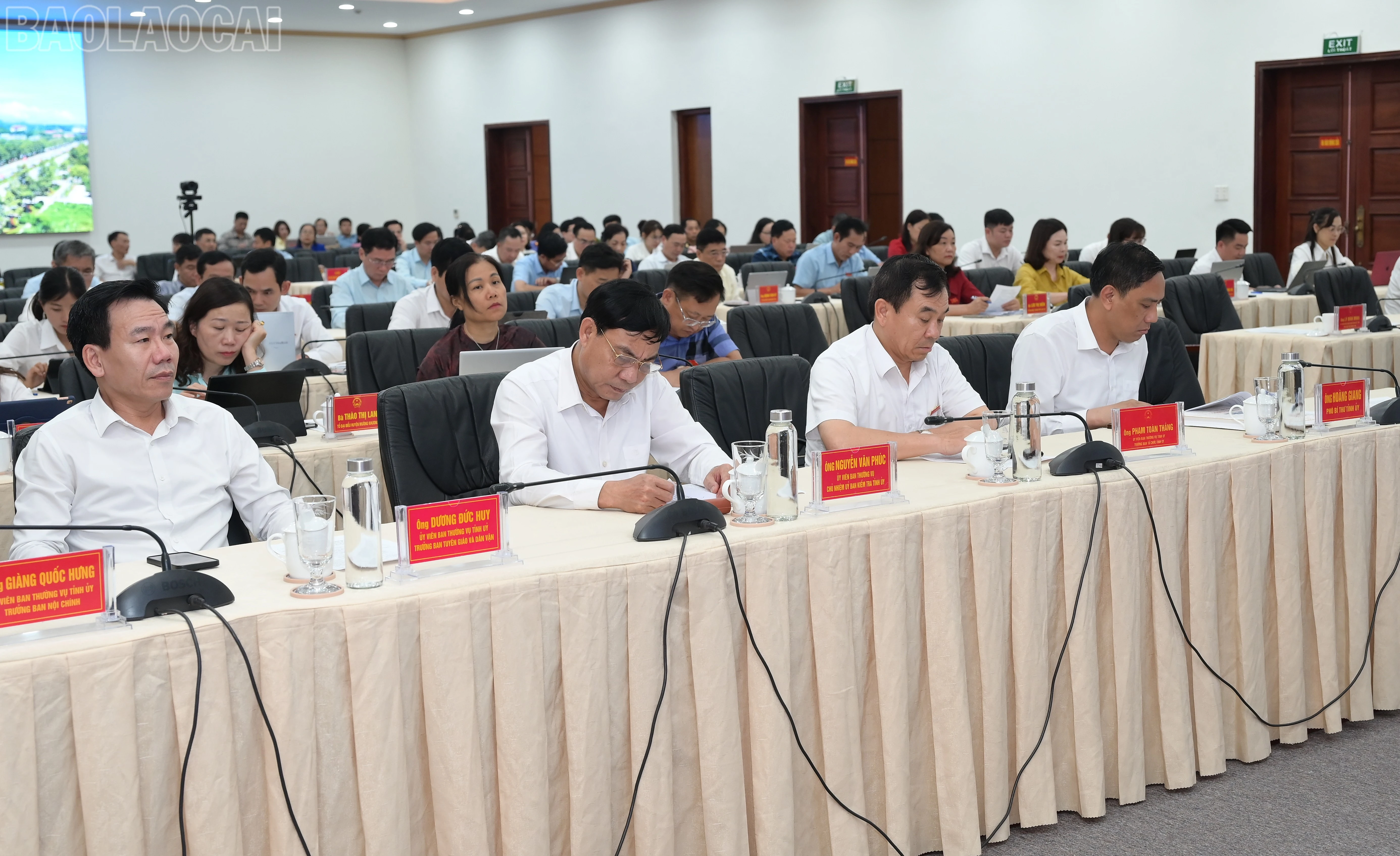 baolaocai-tl_hai-6940.jpg