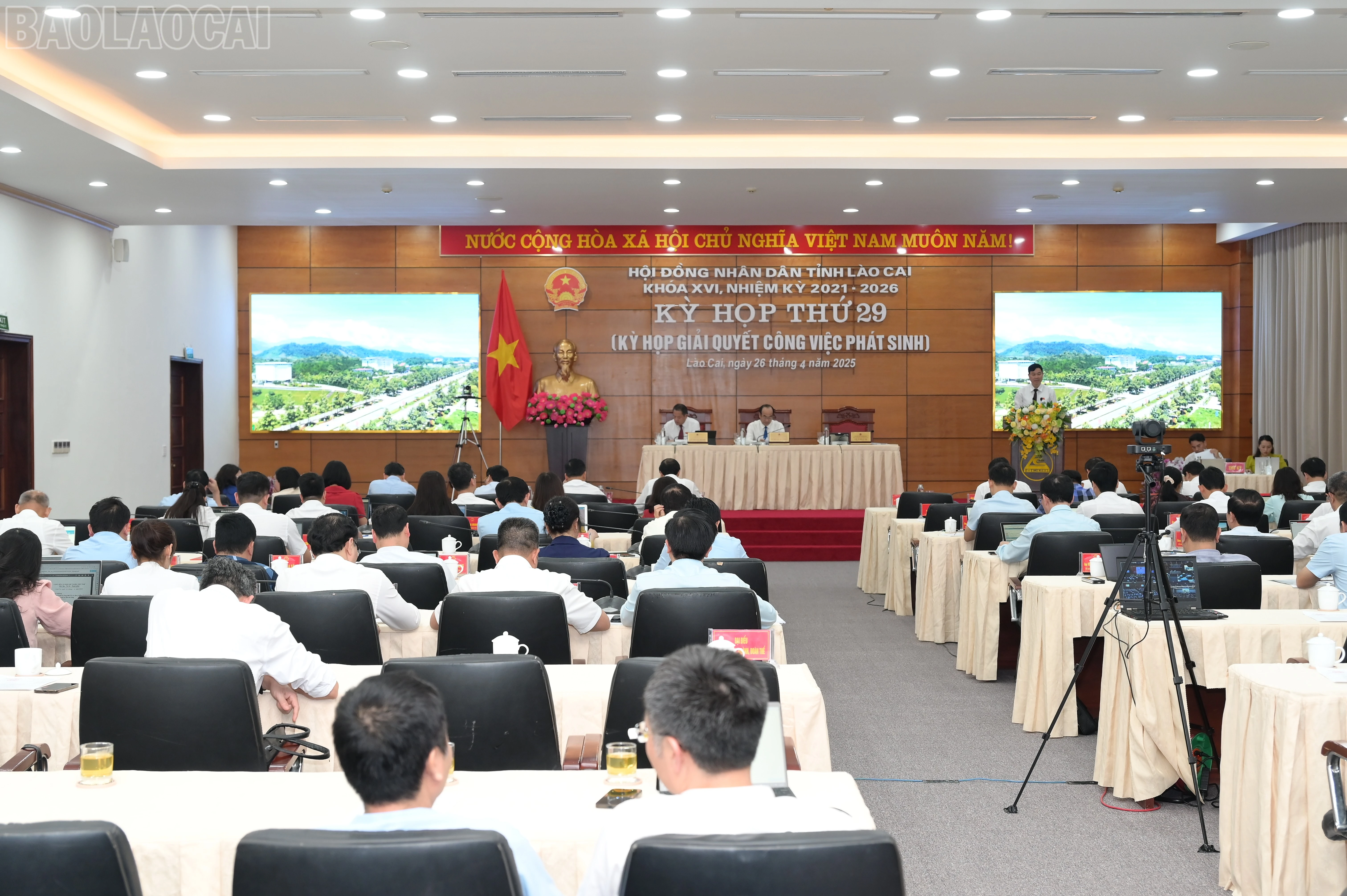 baolaocai-tl_hai-6928.jpg