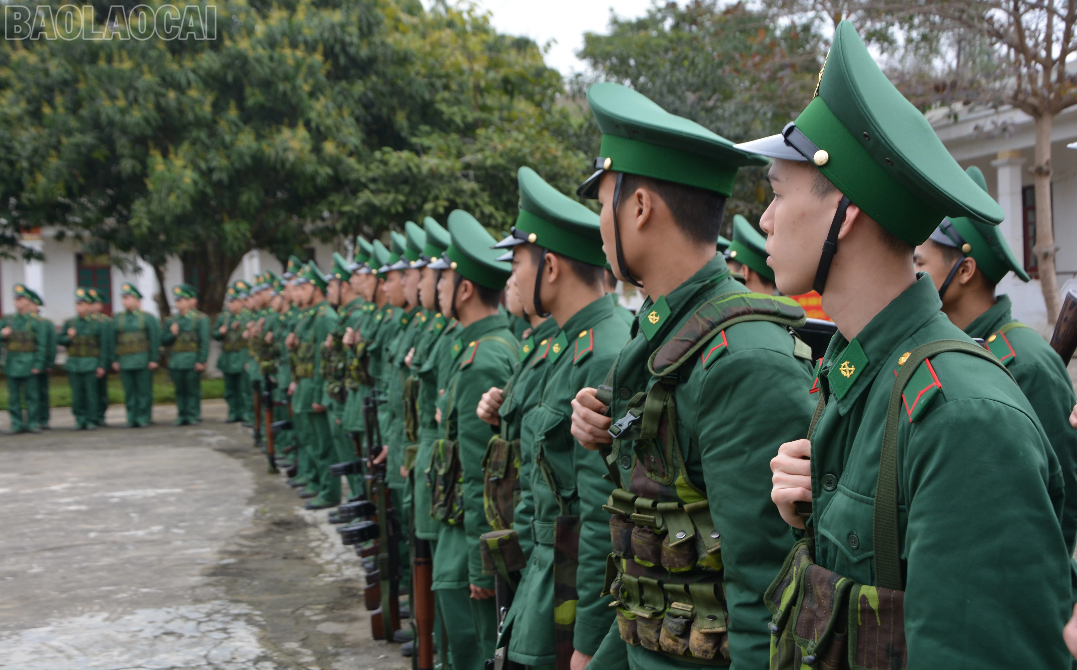 baolaocai-tl_dsc-5536.jpg