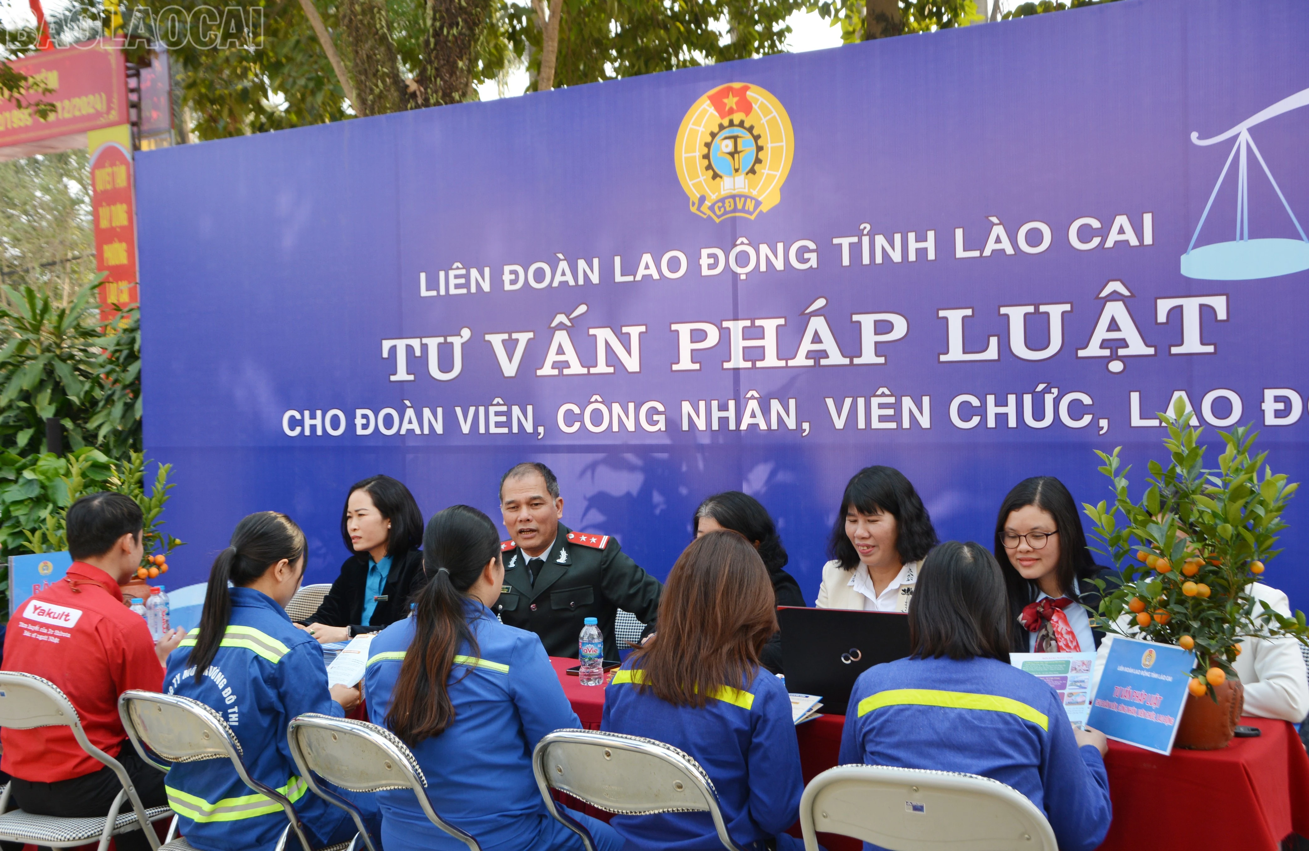 baolaocai-tl_dsc-4115.jpg