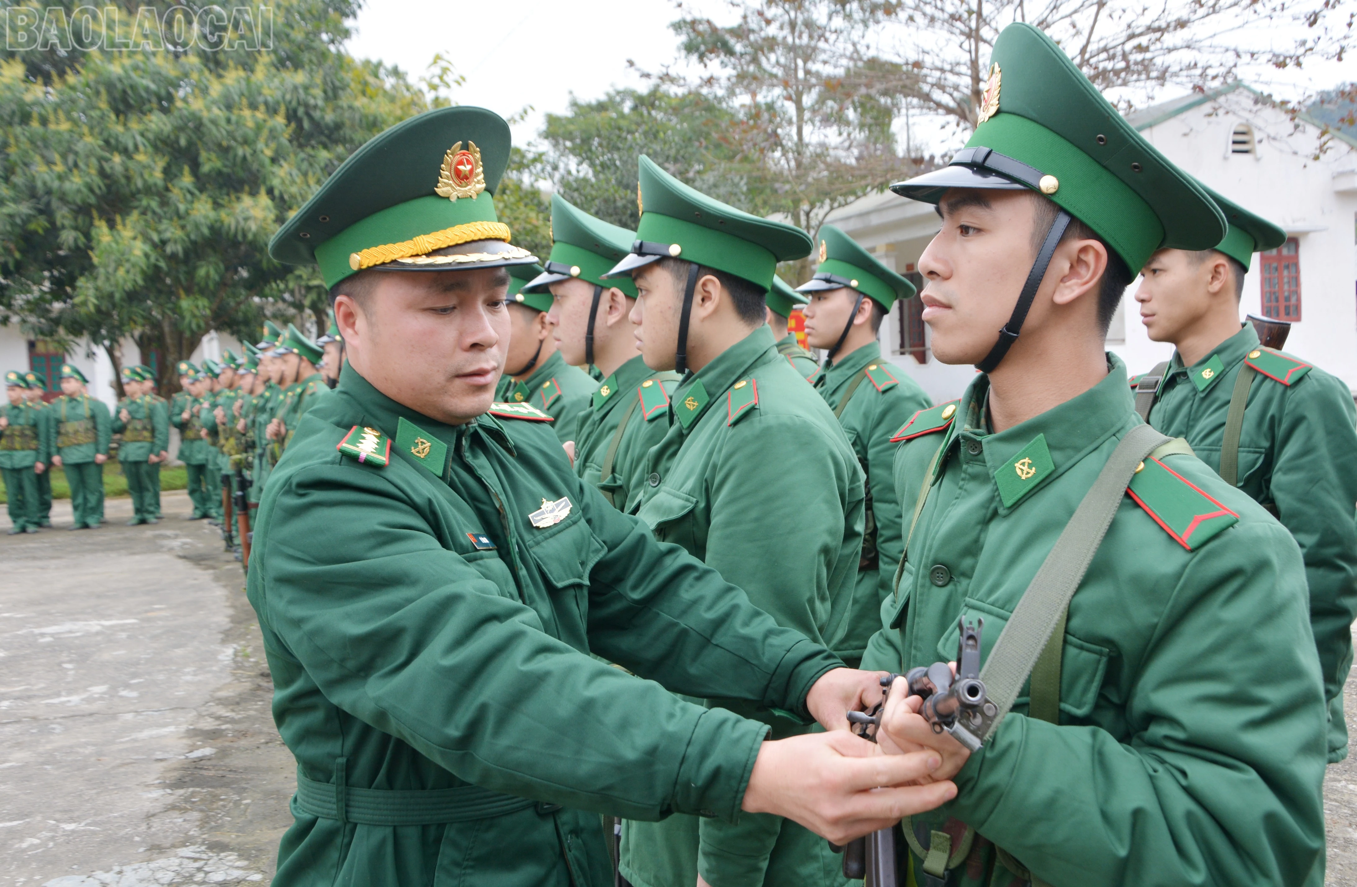 baolaocai-tl_dsc-5533.jpg