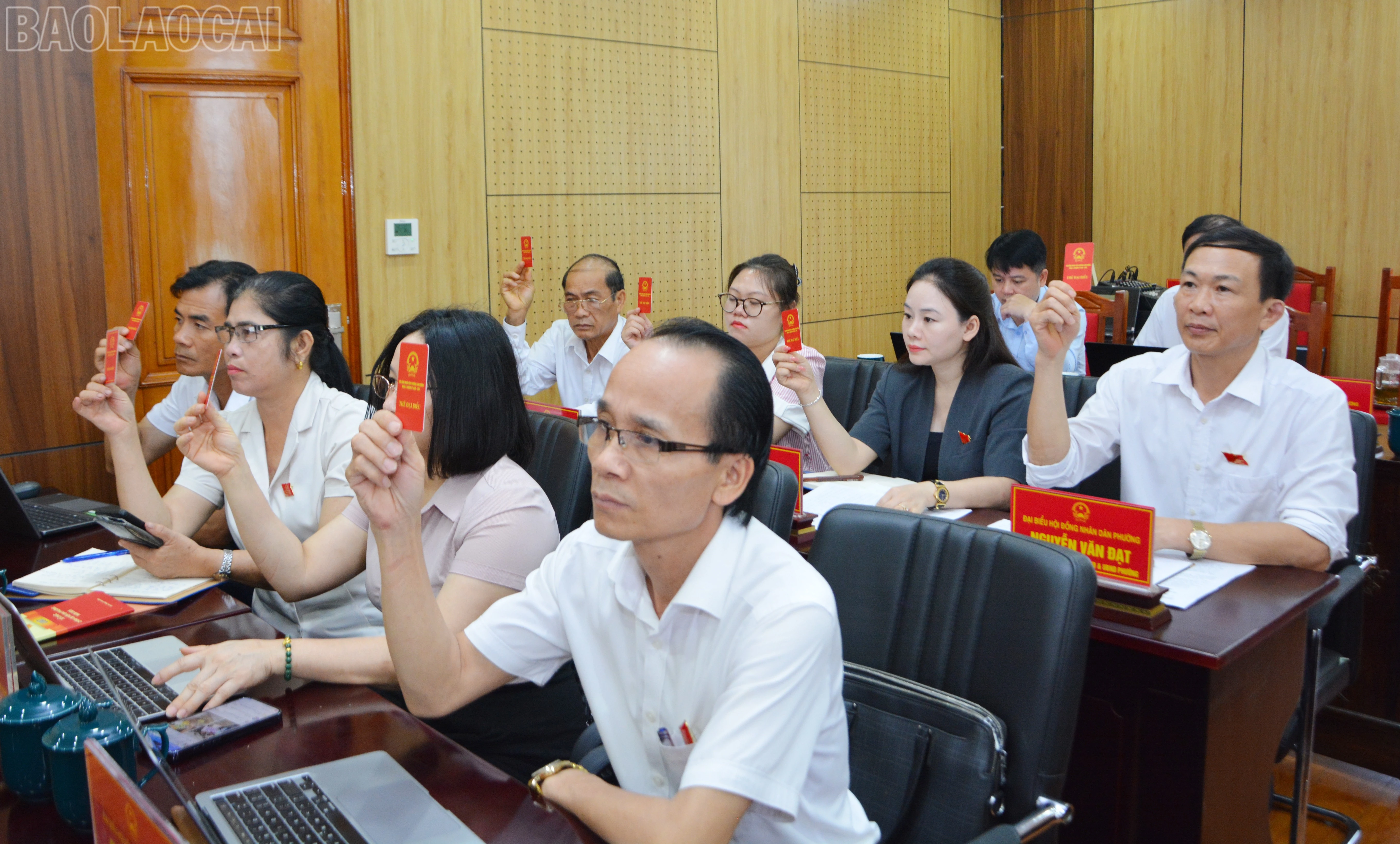 baolaocai-tl_dsc-2741.jpg
