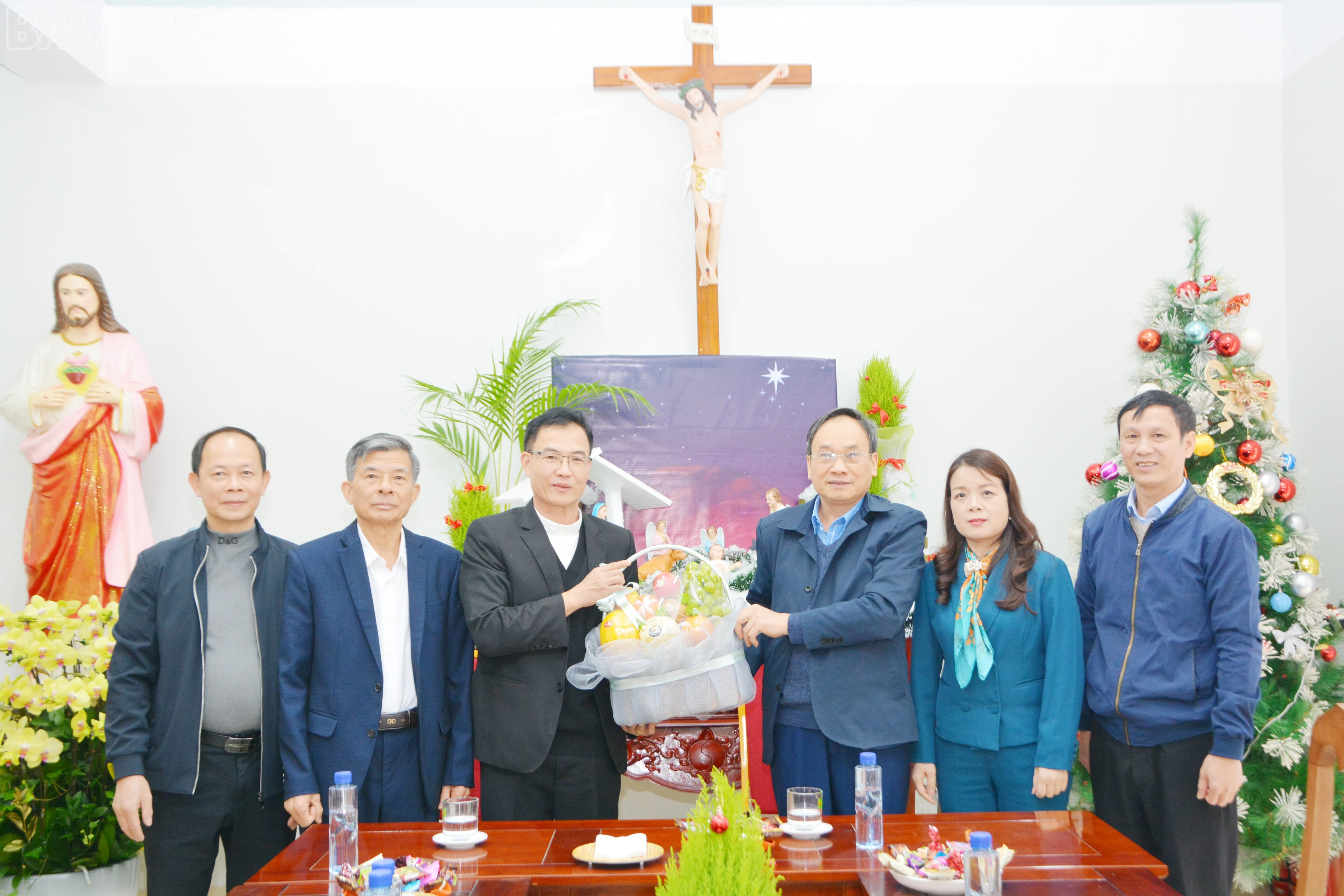 baolaocai-tl_dsc-2107.jpg