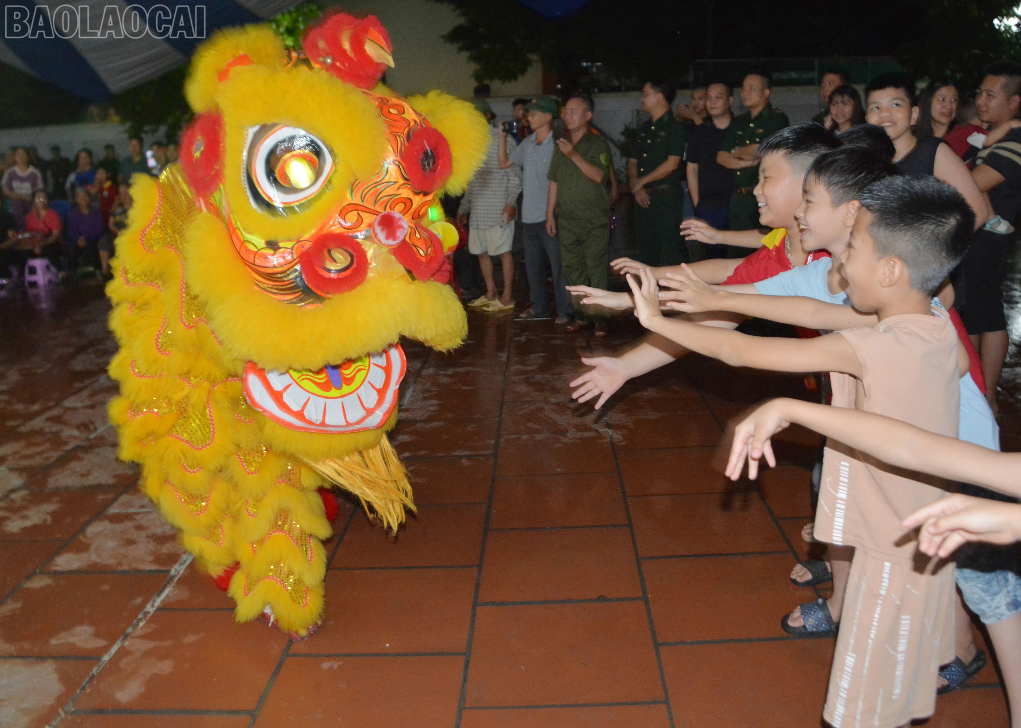 baolaocai-tl_dsc-8730.jpg