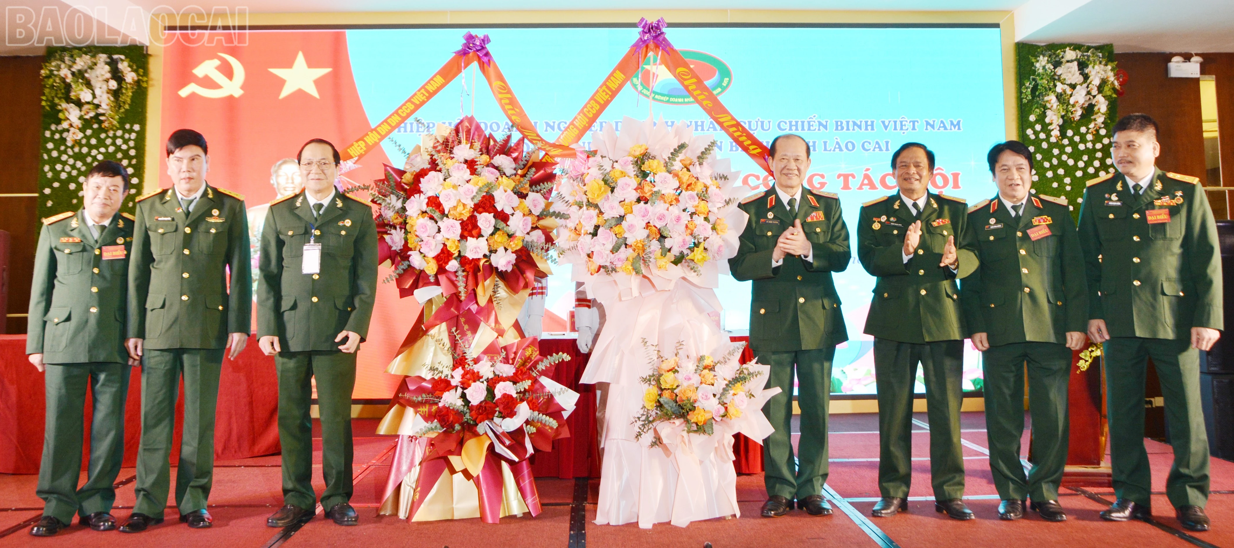 baolaocai-tl_dsc-2735.jpg