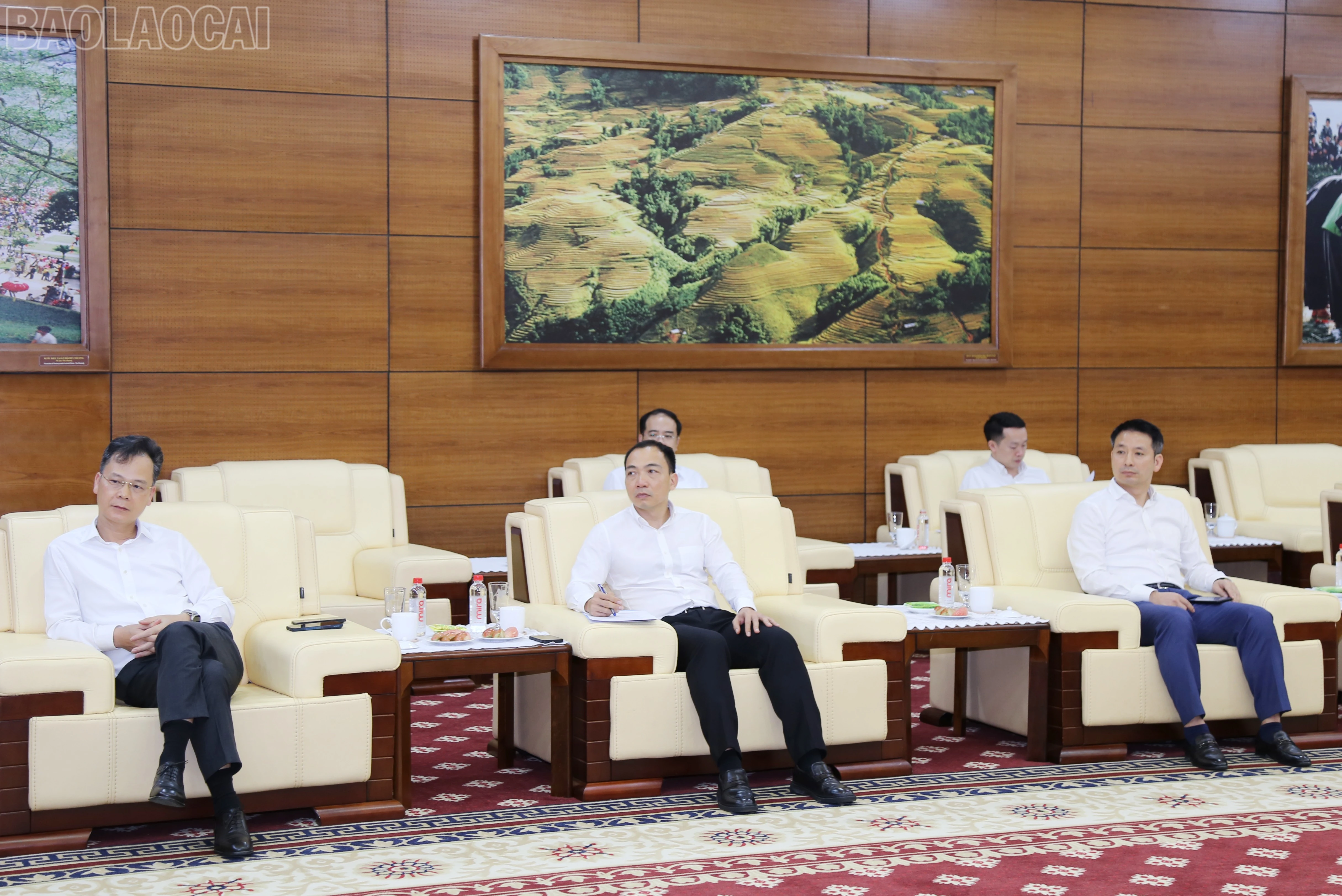 baolaocai-tl_img-0236.jpg