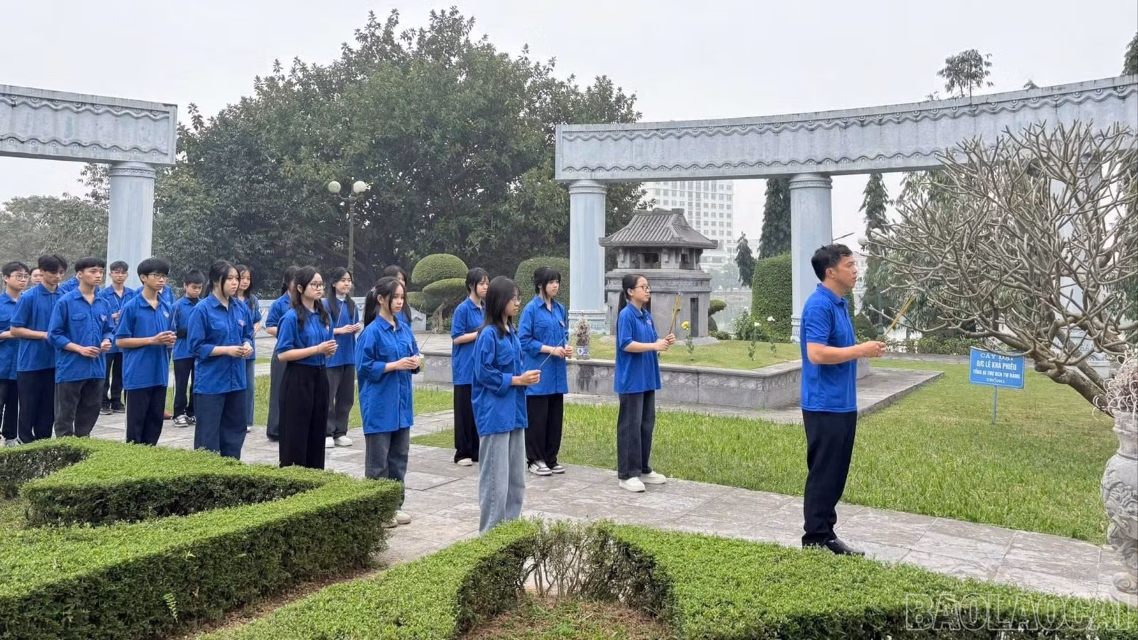 baolaocai-br_tl-z7351847487320-1f563b2409ba6299473d8f896243cfe2.jpg