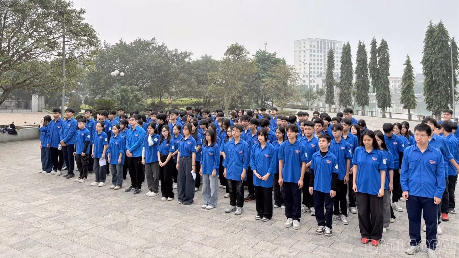 baolaocai-br_tl-z7351897516390-ecdb2a5cb0a61237b2645fe24fd897ee.jpg