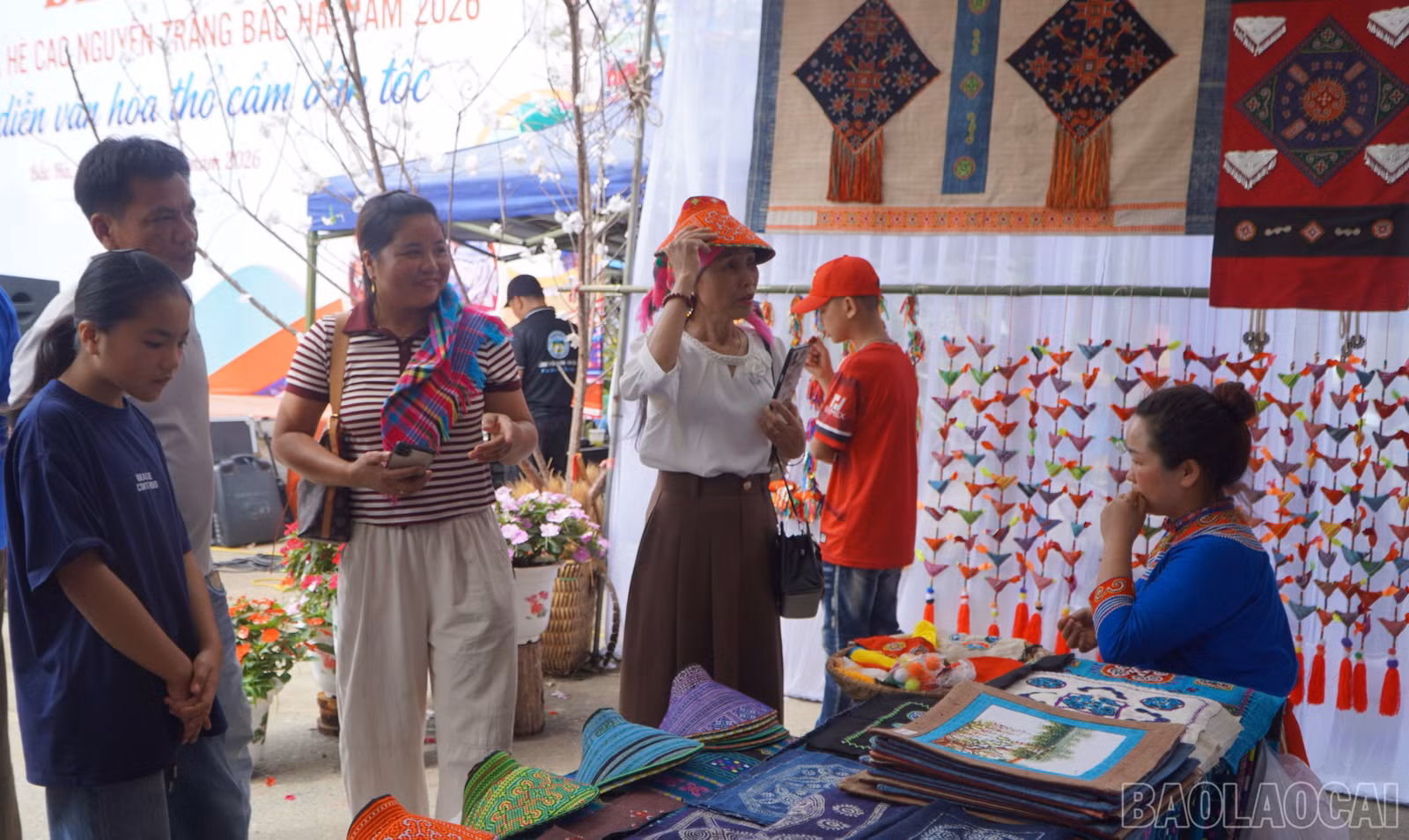 baolaocai-br_br-dsc02905.jpg