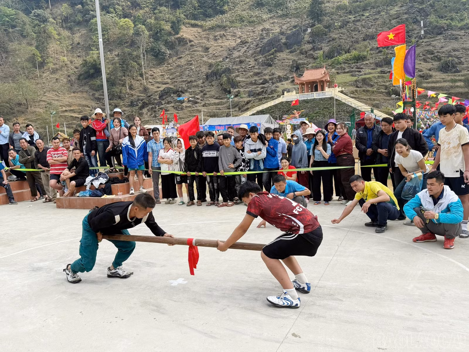 baolaocai-br_image-1774525288966.jpg
