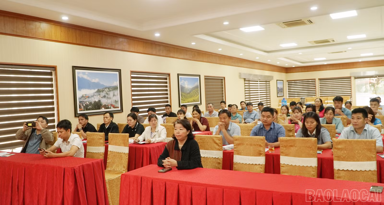 baolaocai-br_br-img-20260326-125022.png