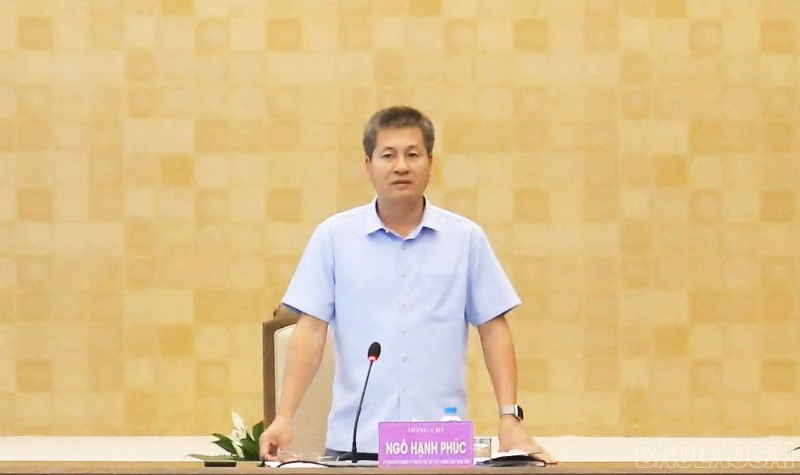 baolaocai-tr-1784689321702-1423586887867225351-1423586887867225351-d43e5afab78d11221f237f9c2b9e5cd1.jpg