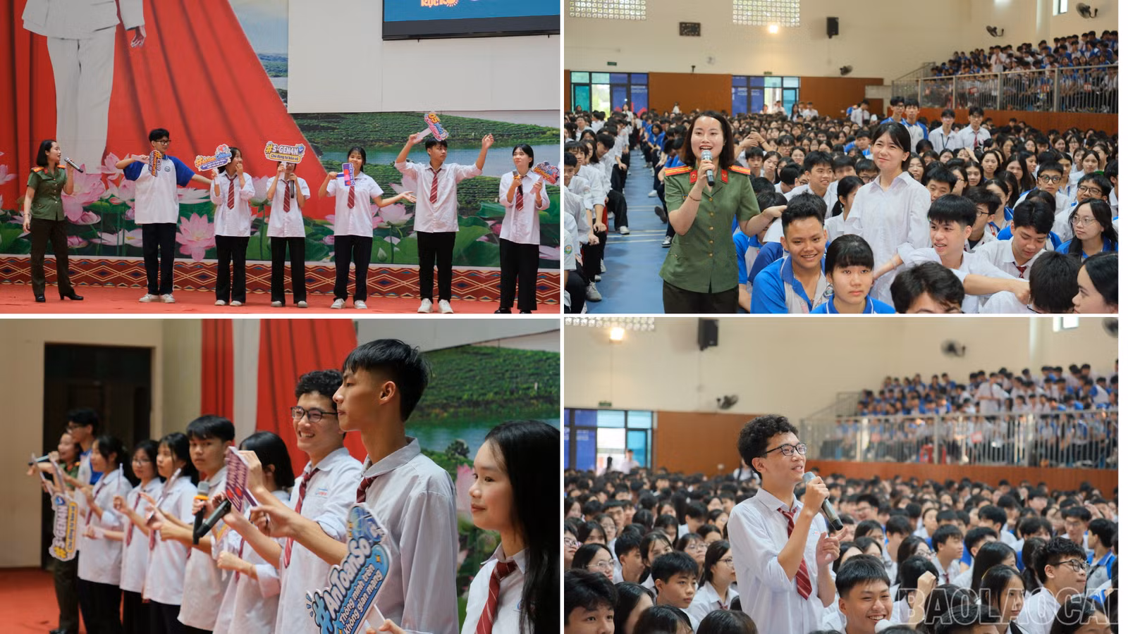 baolaocai-br_anh-9083.png