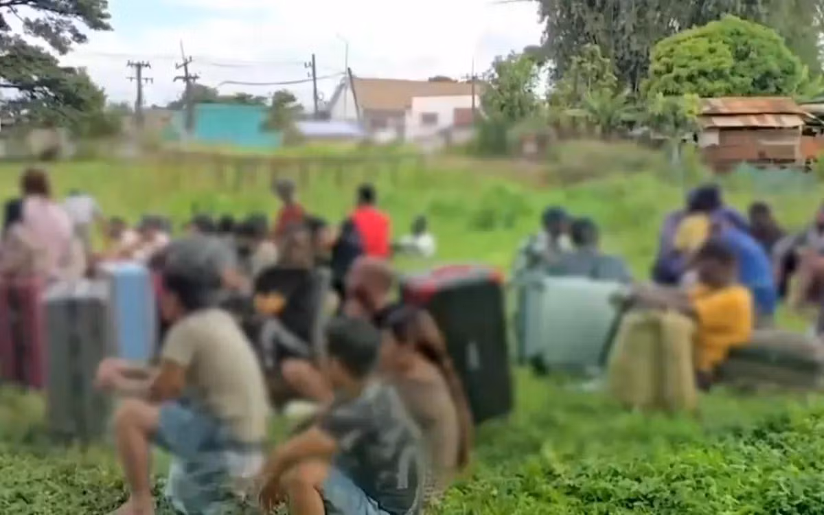 (Ảnh chụp màn hình)