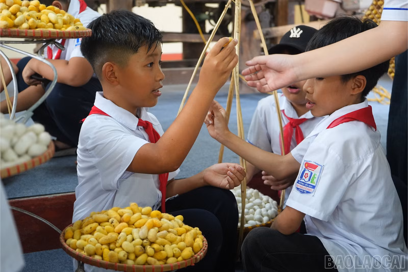 baolaocai-br_tham-quan-cac-san-pham-dau-tam.jpg