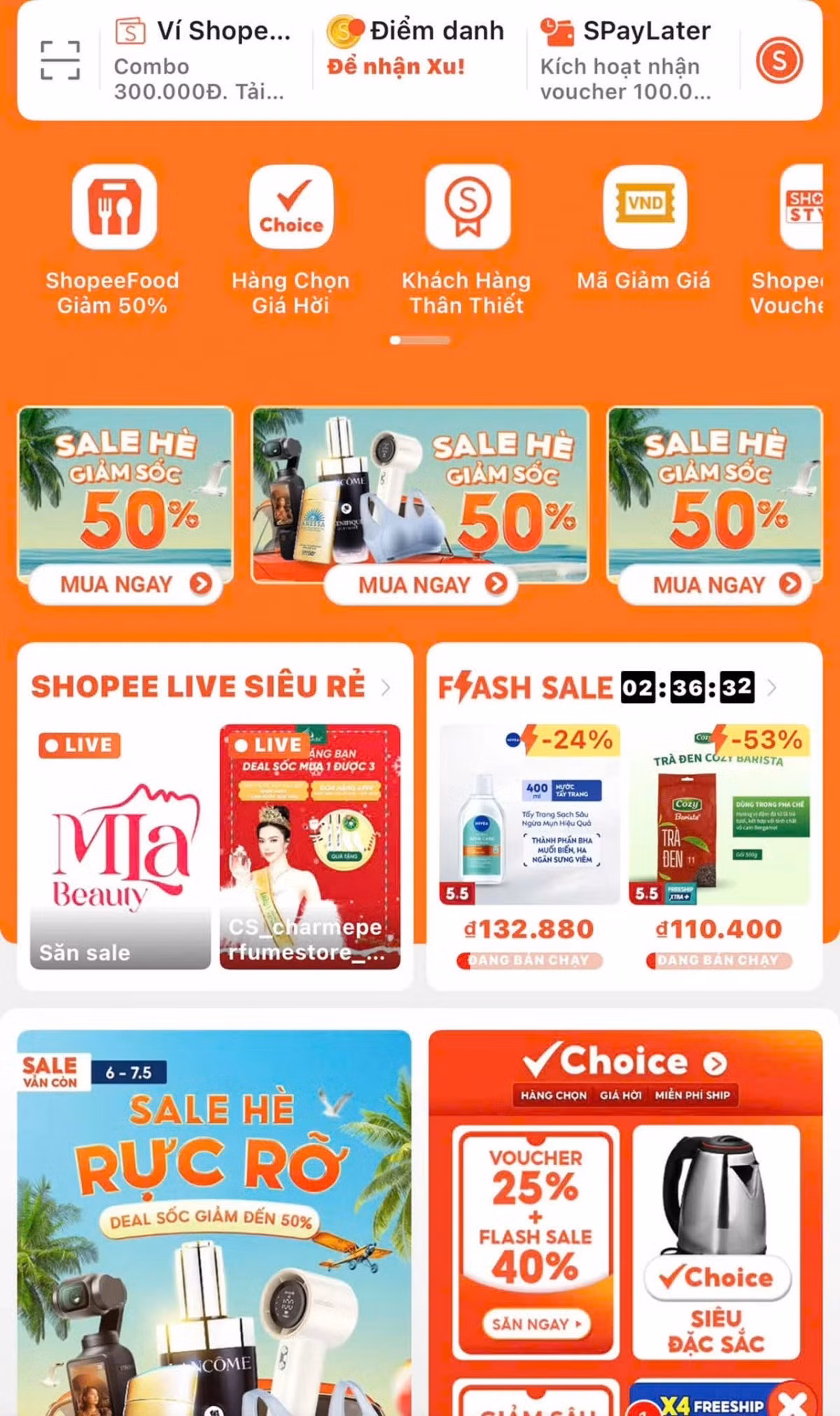 shope-2.jpg
