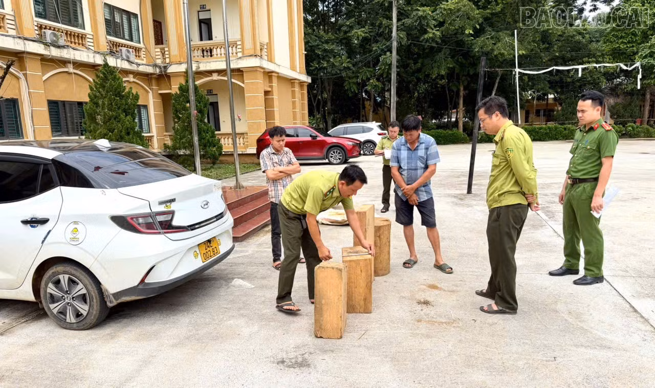 baolaocai-tr_2-cong-an-xa-van-ban-phoi-hop-voi-hat-kiem-lam-khu-vuc-van-ban-tien-hanh-kiem-tra-xac-minh-lam-ro-nguon-goc-so-lam-san-theo-quy-dinh-cua-phap-luat.jpg