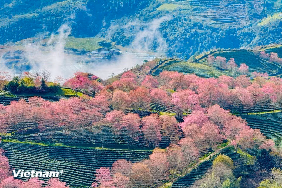 vnp-sapa-16.jpg