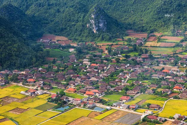 Làng du lịch cộng đồng Quỳnh Sơn đẹp tựa bức tranh