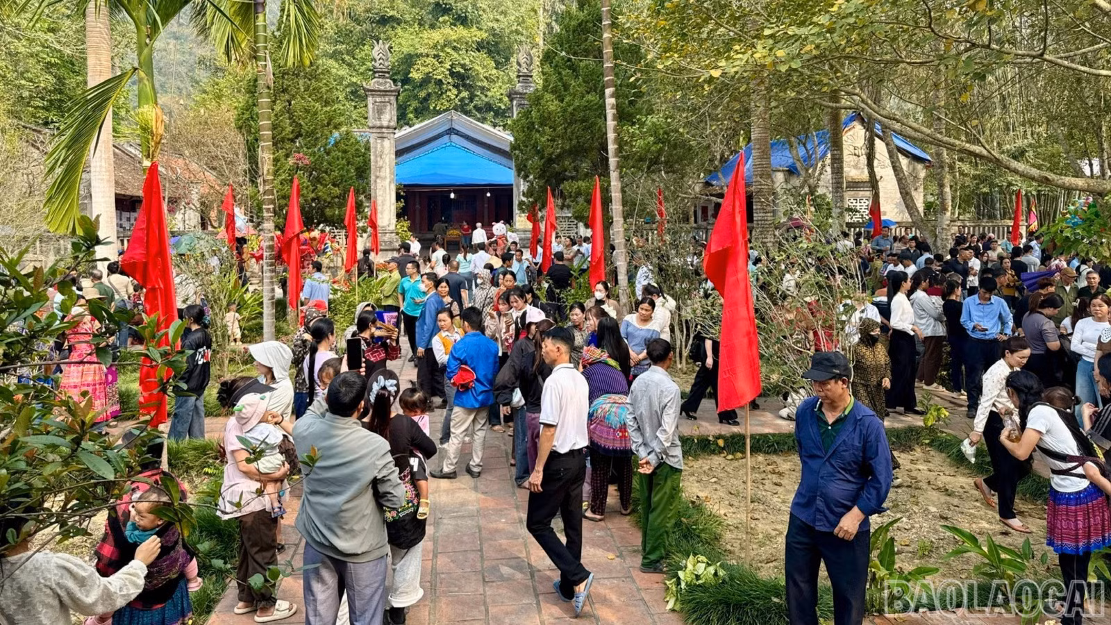 baolaocai-br-z7587246389476-209c23aa9aab1c9f00d91a8c10593fda.jpg