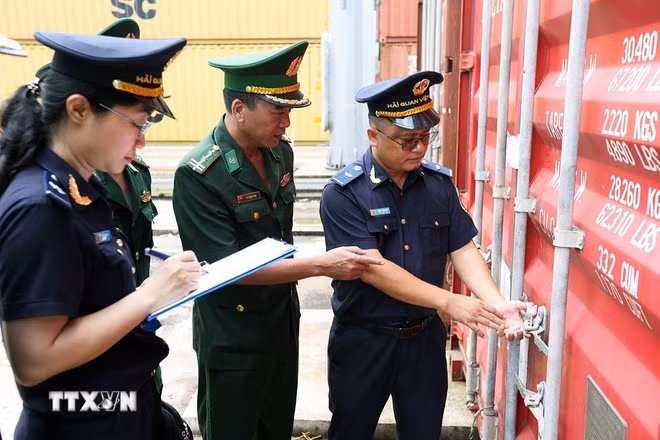 Lực lượng hải quan và bộ đội biên phòng phối hợp giám sát kho bãi container hàng hóa xuất nhập khẩu tại cảng Quy Nhơn, tỉnh Gia Lai.