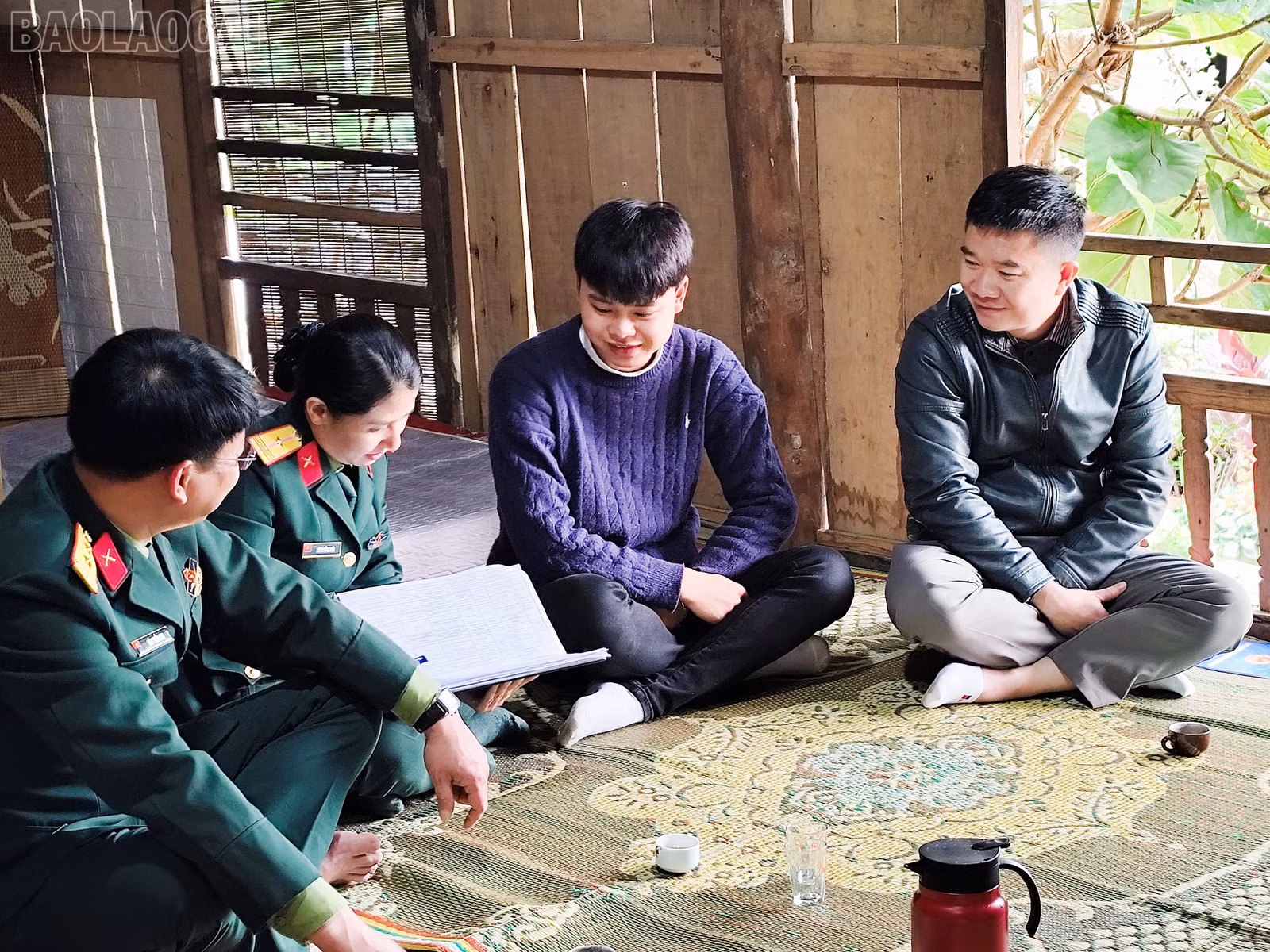 baolaocai-tl_1769406318397.jpg