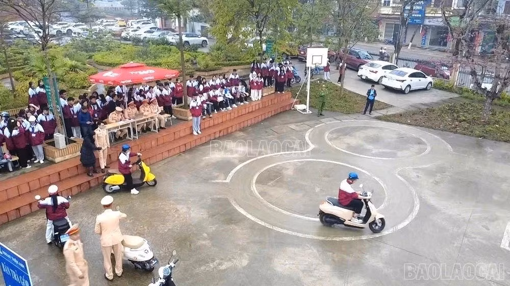 baolaocai-c-28dd105f2317ca499306jpg.jpg