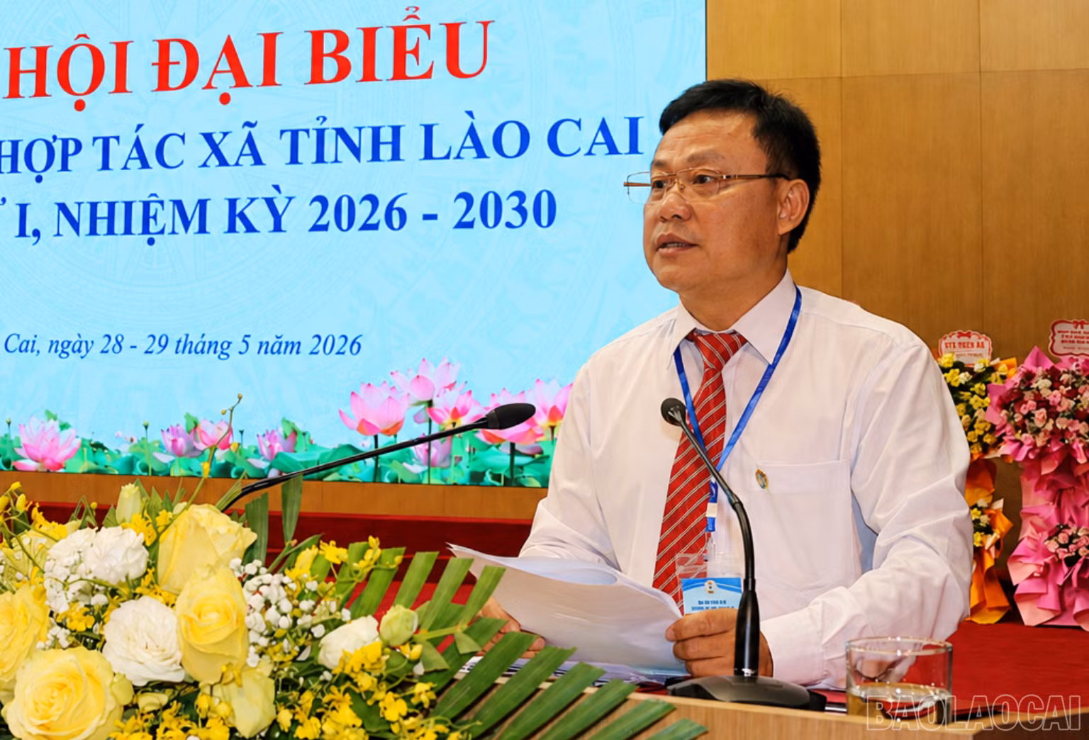 baolaocai-br_br-501f215d-ab80-4d37-b02e-0da12a4769da.png