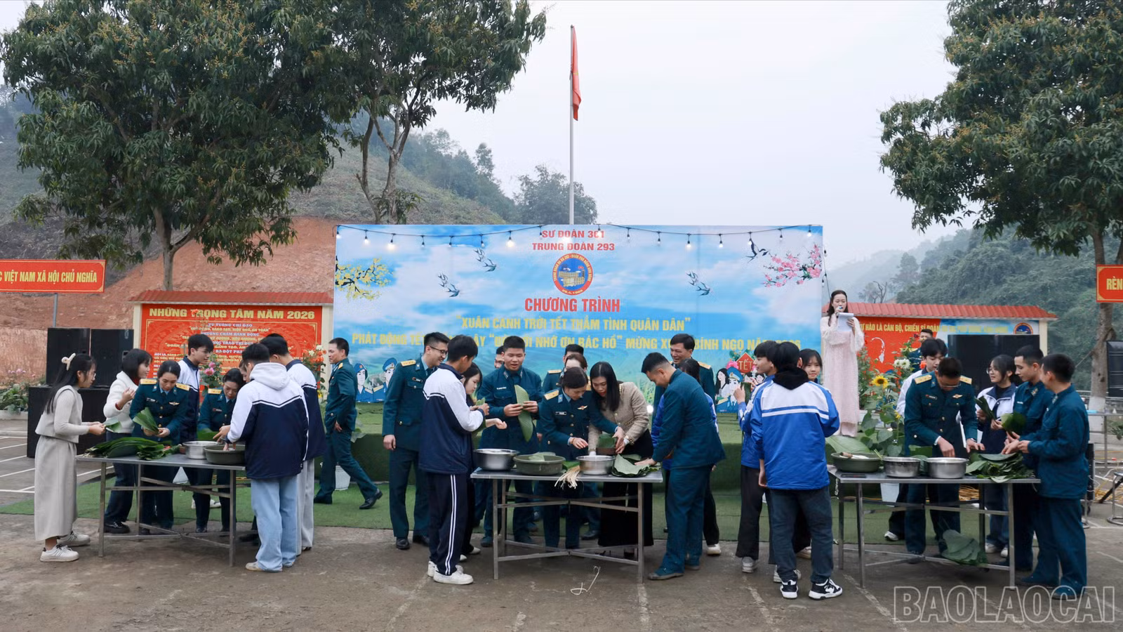 baolaocai-br_br-060a6272.jpg