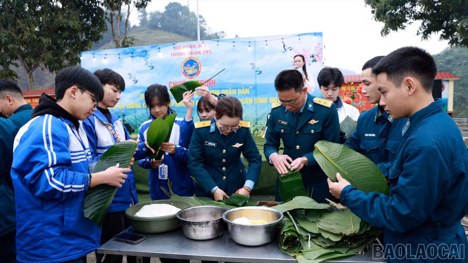 baolaocai-br_tl-060a6252.jpg
