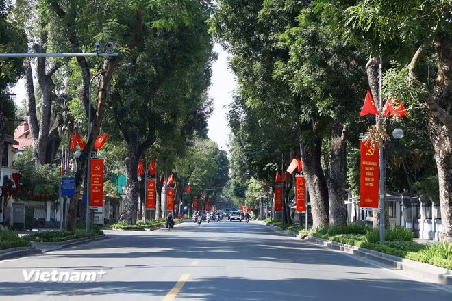 Hệ thống cờ Tổ quốc, cờ Đảng, băng rôn cổ động, chào mừng được treo ngay ngắn và nổi bật dọc hai bên phố Lê Hồng Phong.