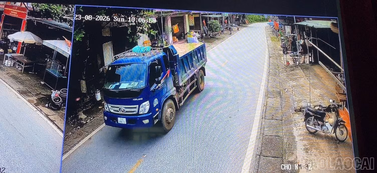 baolaocai-br_anh-1.jpg