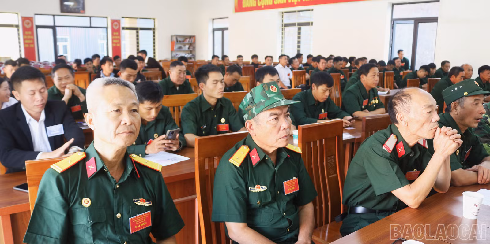 baolaocai-br_a-dh-3.jpg