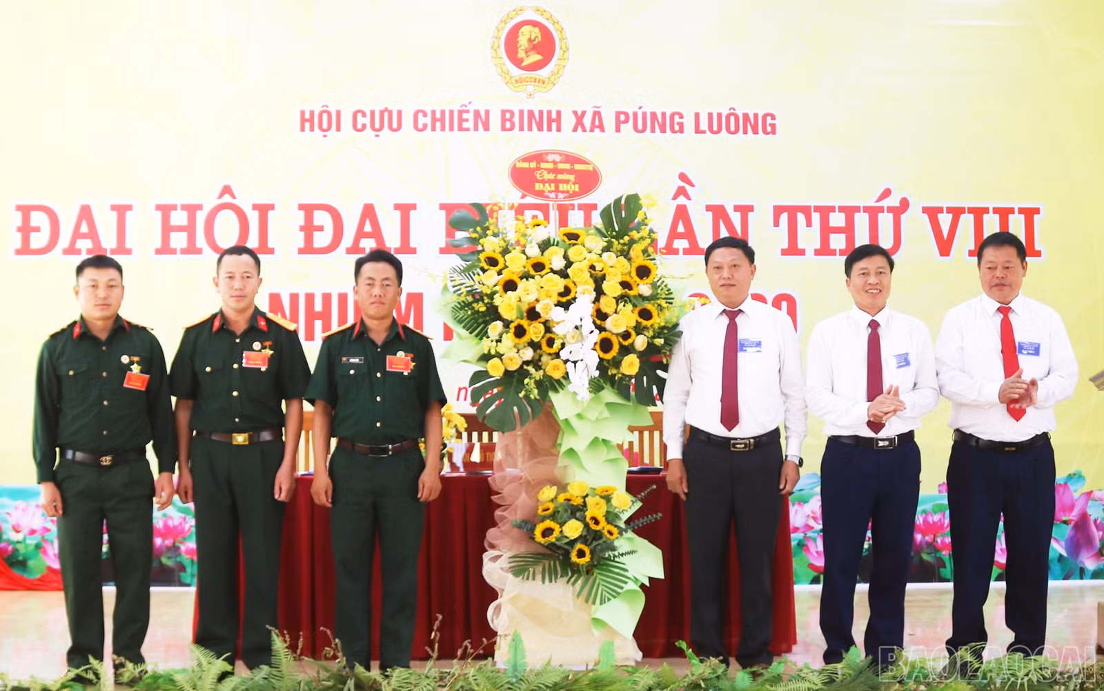 baolaocai-br_a-dh-6.jpg